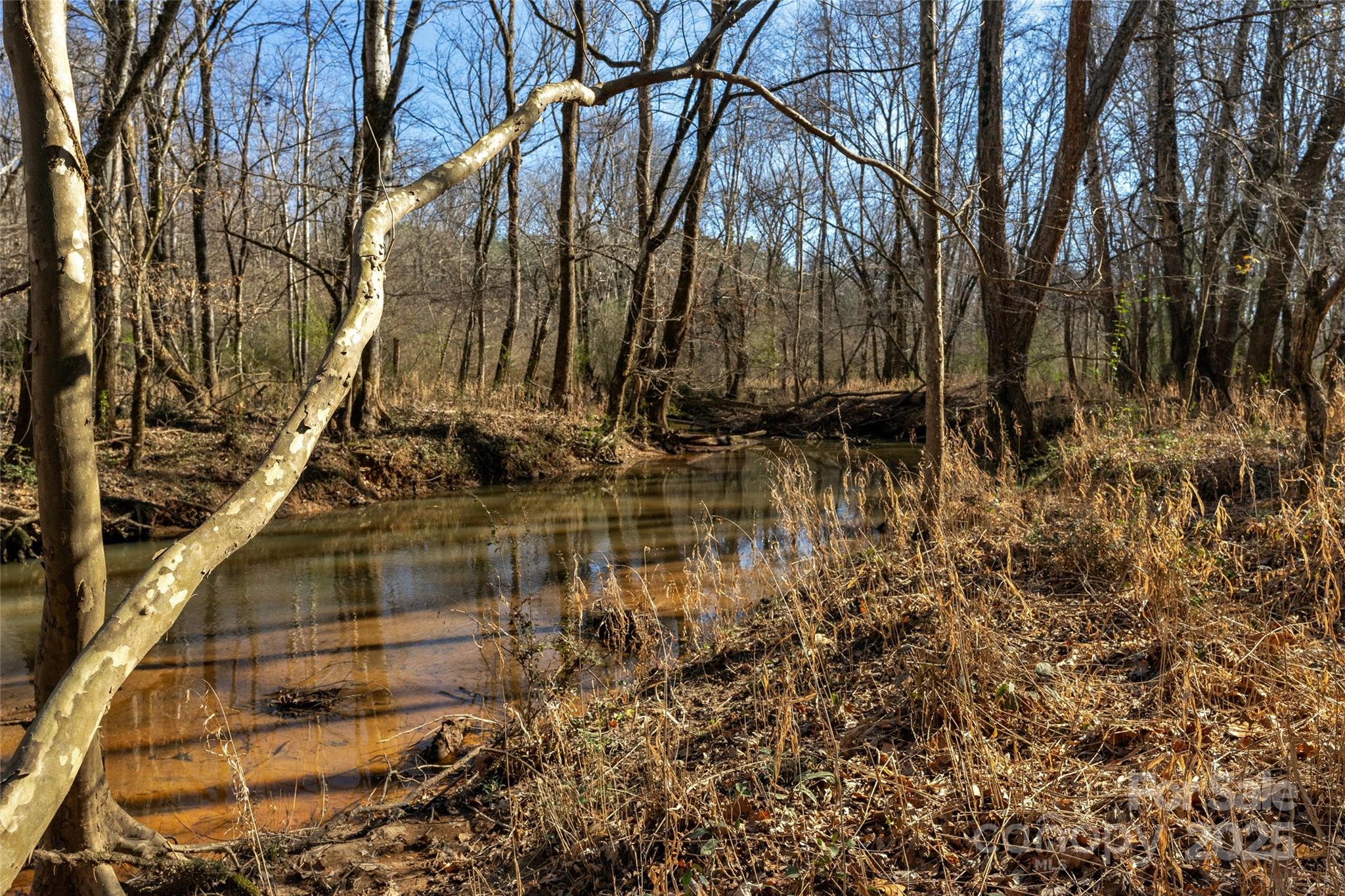 Amazing opportunity to own a large tract in the highly desirable Blackstock, SC. Between Charlotte and Columbia, and easy access to HWY 321 / I 77, this location is fantastic. +/- 65.5 Acres of timber production, wonderful hunting/recreation, and country living. The land is large enough for deferred property taxes through Fairfield County along with having mature merchantable timber. Pursue building your dream home, family compound, large estate, or use for agriculture and recreational activities. This land is full of both large and small game. Large amount of hardwoods and mixed timber through the middle of the property along with the northeastern Corner. Over 1100' of active rolling Little River adding in a gorgeous large water feature. 

+/- 2000' of road frontage with electric. 

*** More land available for Sale***