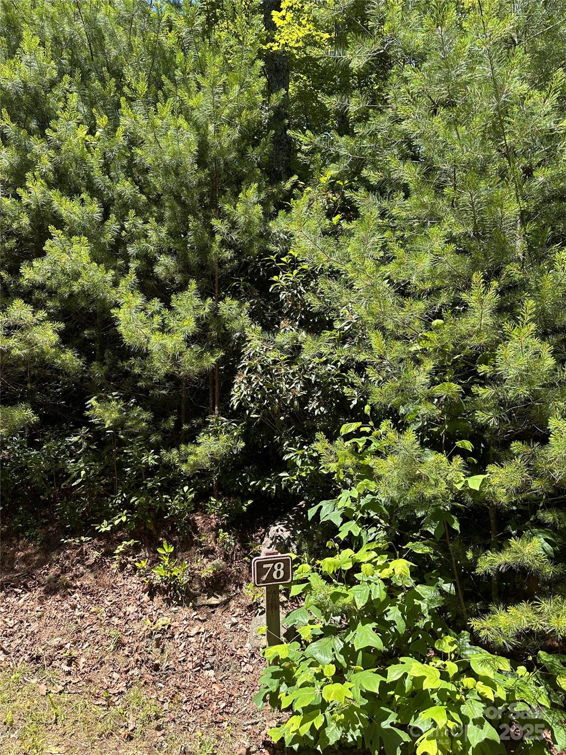 Serene 0.12 Acre Wooded Mountain Retreat in WNC

Discover the perfect opportunity to build your dream mountain home on this 0.12-acre naturally wooded property nestled in the thermal belt of Western North Carolina. Offering a secluded, forested setting with an easy build site, this lot provides a peaceful mountain atmosphere while maintaining privacy within a gated community.

Enjoy the tranquility of being surrounded by nature, with access to over three miles of scenic hiking trails, picnic shelters, and a charming gazebo. The community also features a Lodge with an outdoor pool, hot tub, and versatile gathering spaces equipped with a kitchen — ideal for entertaining or relaxing with family and friends.

Create your private mountain sanctuary in this serene and scenic location, where every day feels like a vacation.