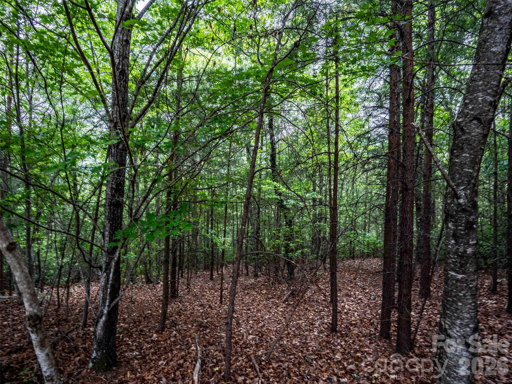 Brights Creek - Land