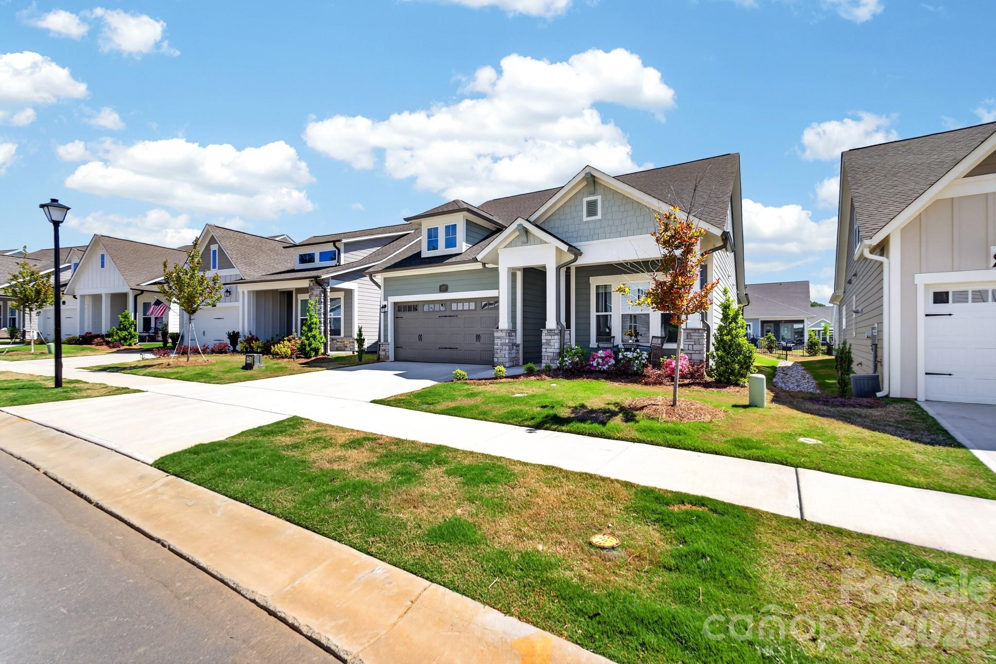 Encore at Streamside - Residential