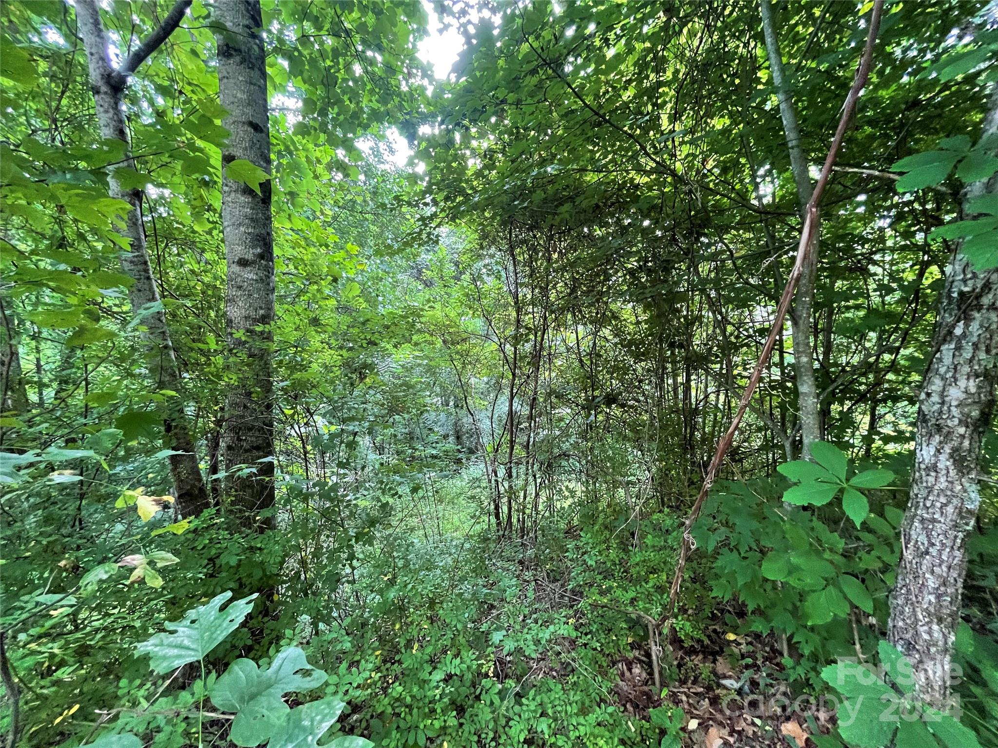 Friendly Acres - Land