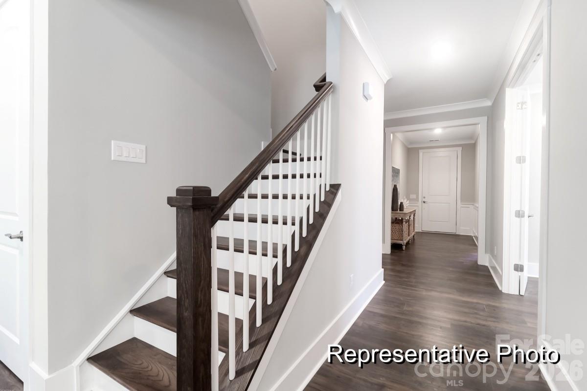 Enclave at Wild Rose - Residential