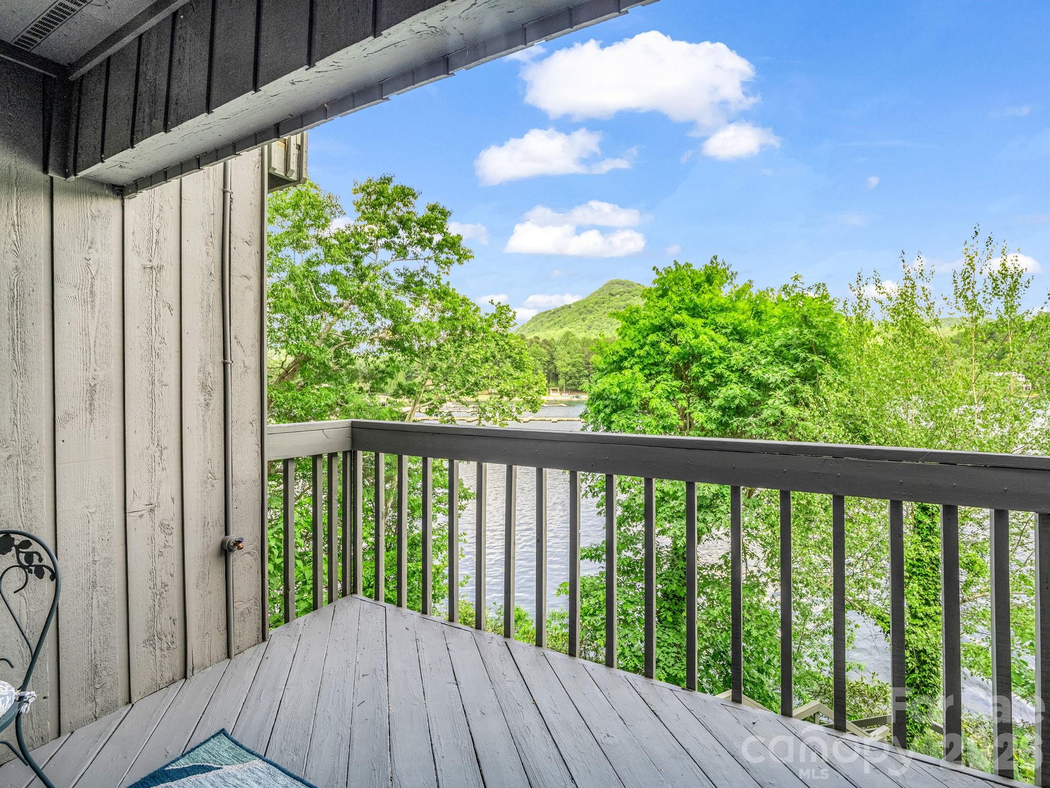 Rumbling Bald on Lake Lure - Residential