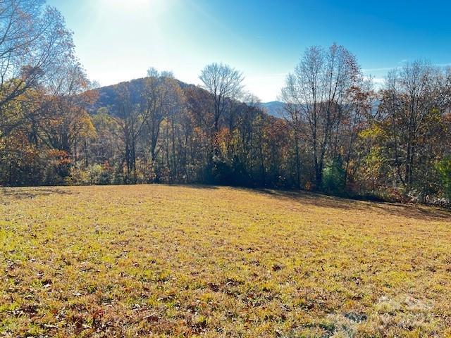***Rare and Stunning Homesite with Long-Range Mountain Views***

Discover a truly exceptional 2.55-acre homesite offering an easy build and breathtaking south-facing, long-range mountain views overlooking the community’s HOA green space.  Located just a short stroll from the Grand Highlands Lodge, residents enjoy access to a state-of-the-art fitness center, library, game room, and catering kitchen. Outdoor enthusiasts will love the Tennis and Pickleball courts, fire pit, and dog park—all just steps away from the lodge.  Perfectly positioned between Asheville and Hendersonville, Western North Carolina’s largest cities, Grand Highlands provides the ideal balance of luxury mountain living and modern convenience. Lake Lure is only a scenic 20-minute drive, while the Asheville Regional Airport, shopping, dining, and healthcare are all within easy reach.  Experience the best of Western North Carolina living at Grand Highlands—where stunning natural beauty meets elegant mountain lifestyle!