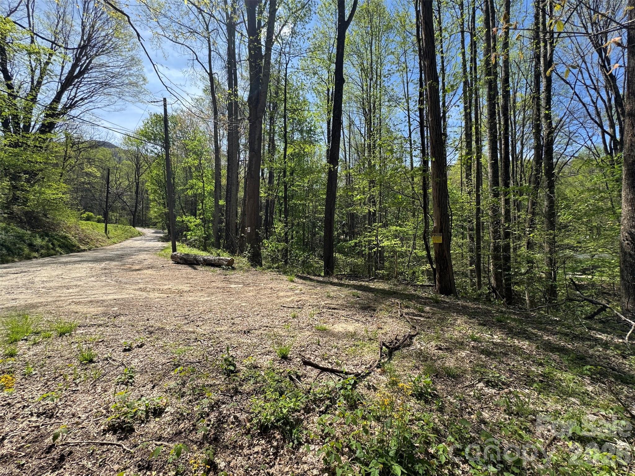 Chestnut Walk - Land