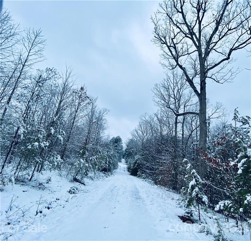 Pilots Ridge - Land