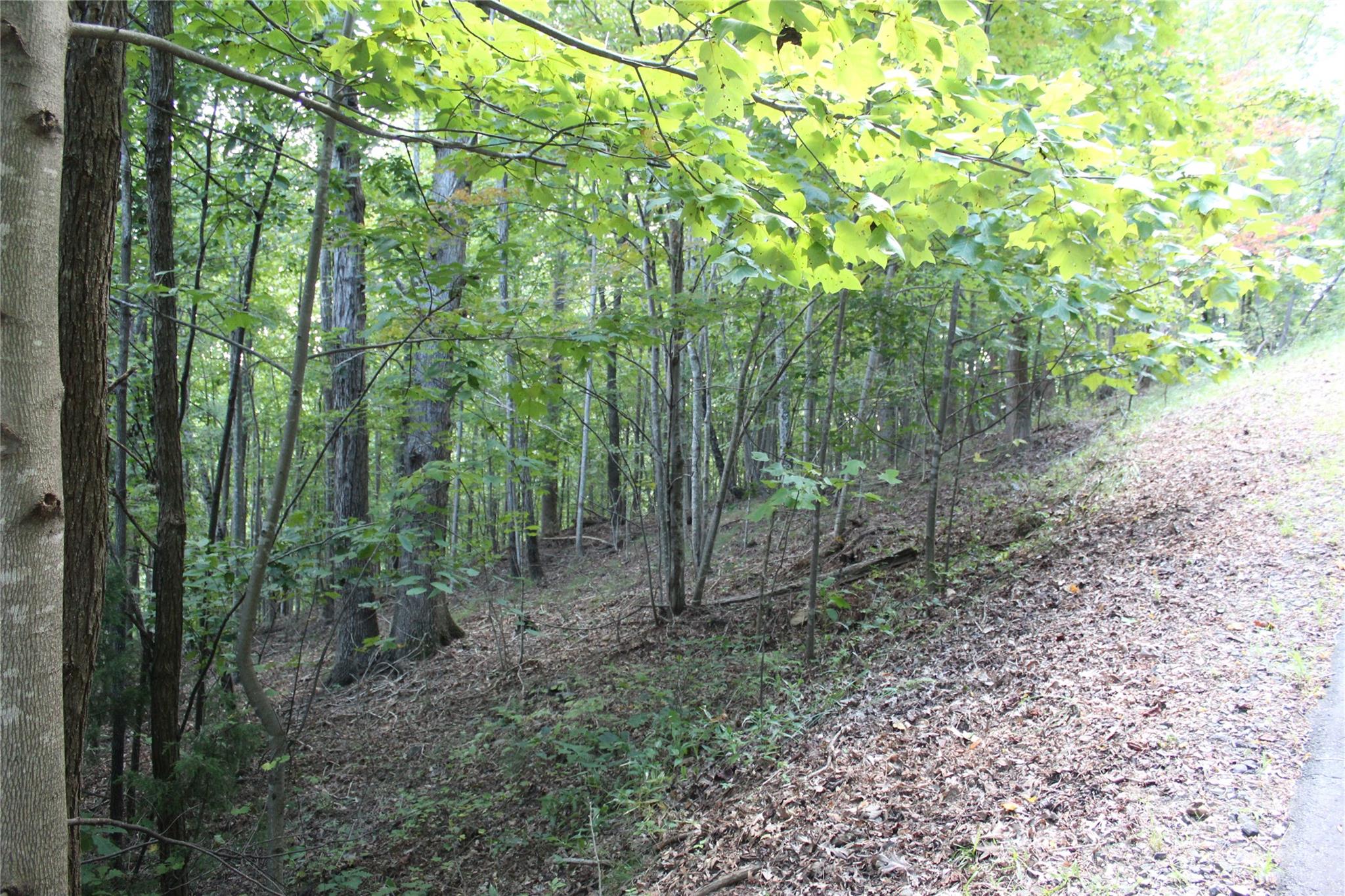 Welcome to South Mountain Peaks! This 4.02 acre lot is ready for you to build your dream home on or your mountain getaway home! 
Get ready to do a little clearing and the views will be amazing!
South Mountain Peaks is a subdivision located in Golden Valley, NC about half way between Asheville and Charlotte. Short drive to Yogi Bear Jellystone Park.