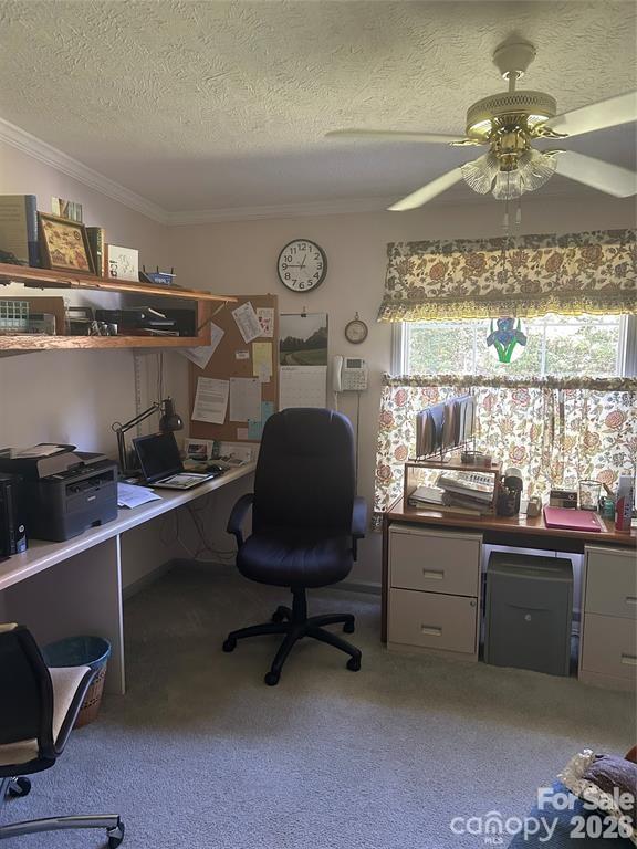 Holly Ridge - Residential