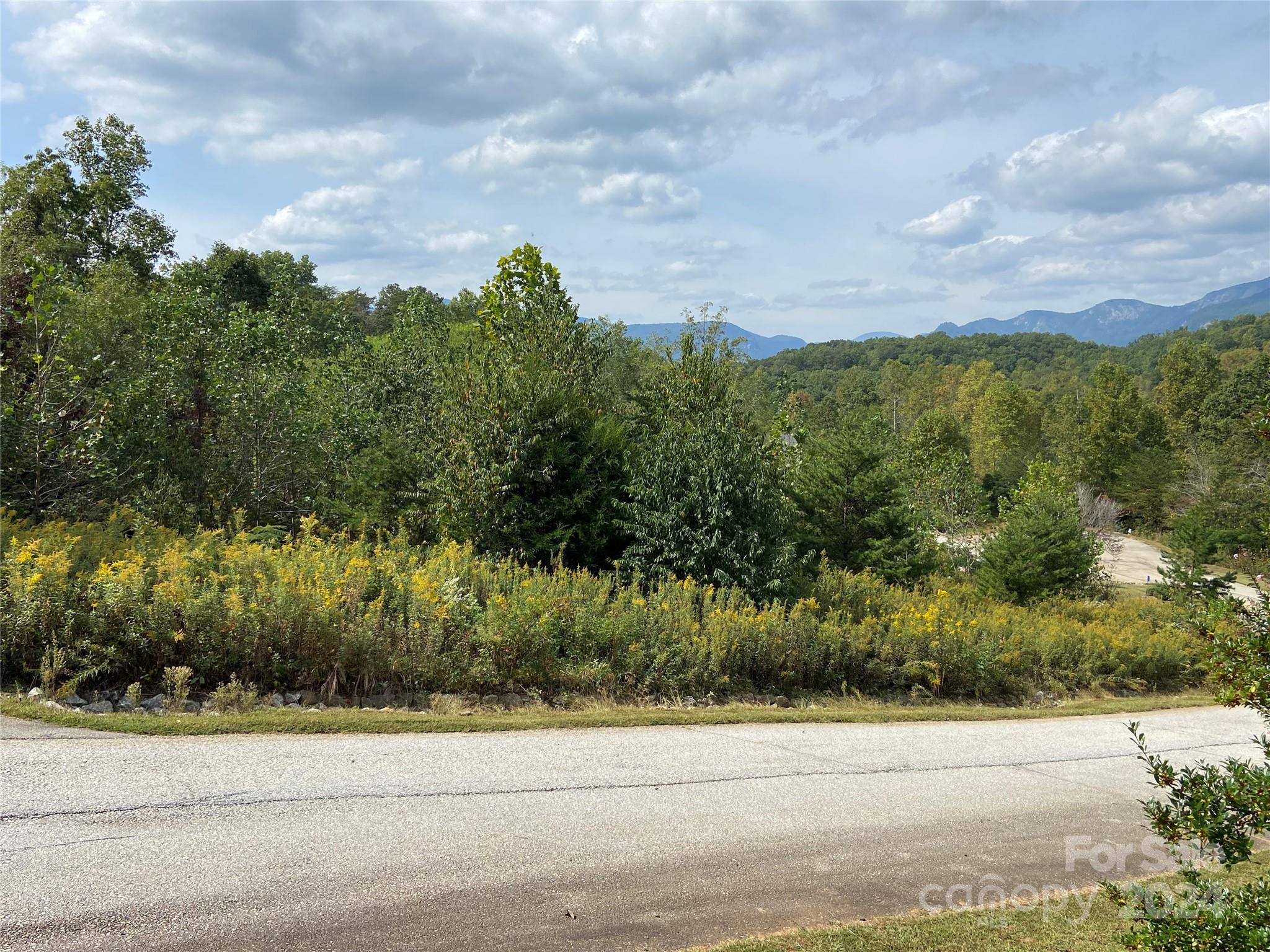 Vista At Bills Mountain - Land
