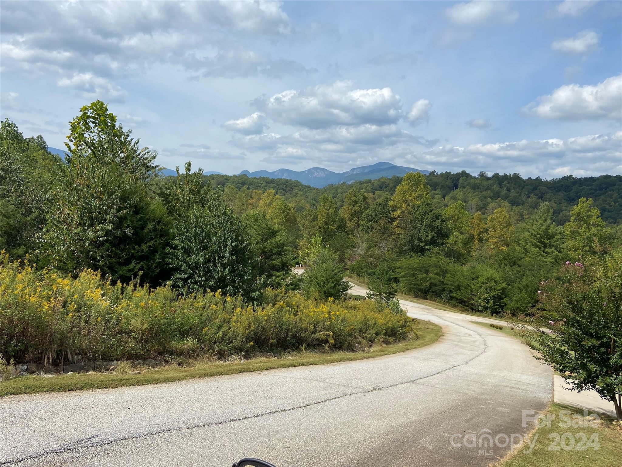 Gently sloping home site in the gated community, Vista at Bill's Mountain, located on the corner Rock Ledge South and Willow Top Lane.  Enjoy Sunset views of Chimney Rock State Park and Hickory Nut Gorge.  Paved Shared driveway and two road frontage access points.  Amenities include a gorgeous clubhouse with fitness center, outdoor pool, and tennis courts.