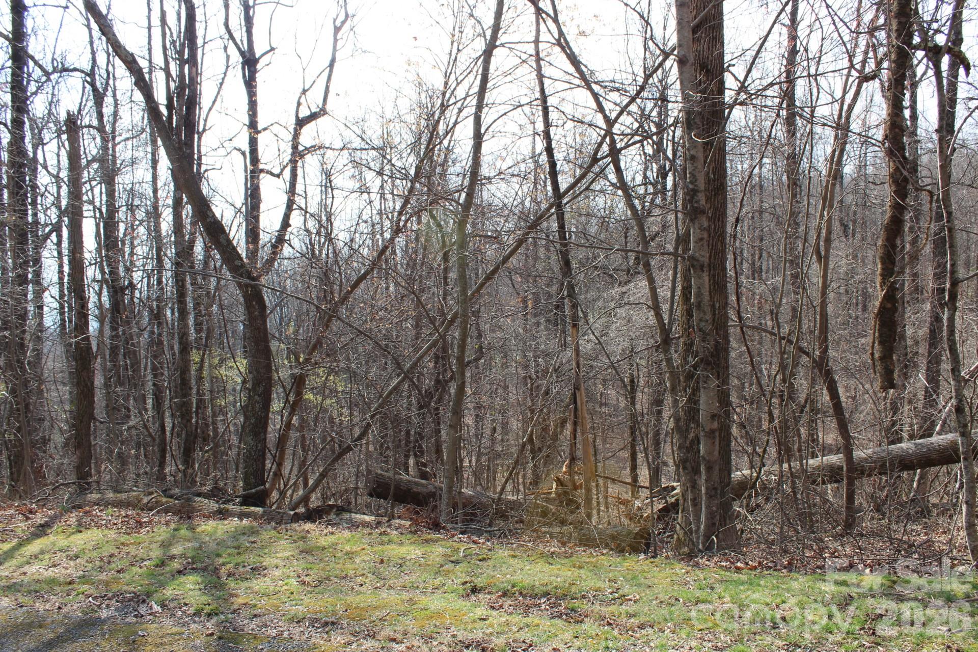 White Oak Mountain - Land