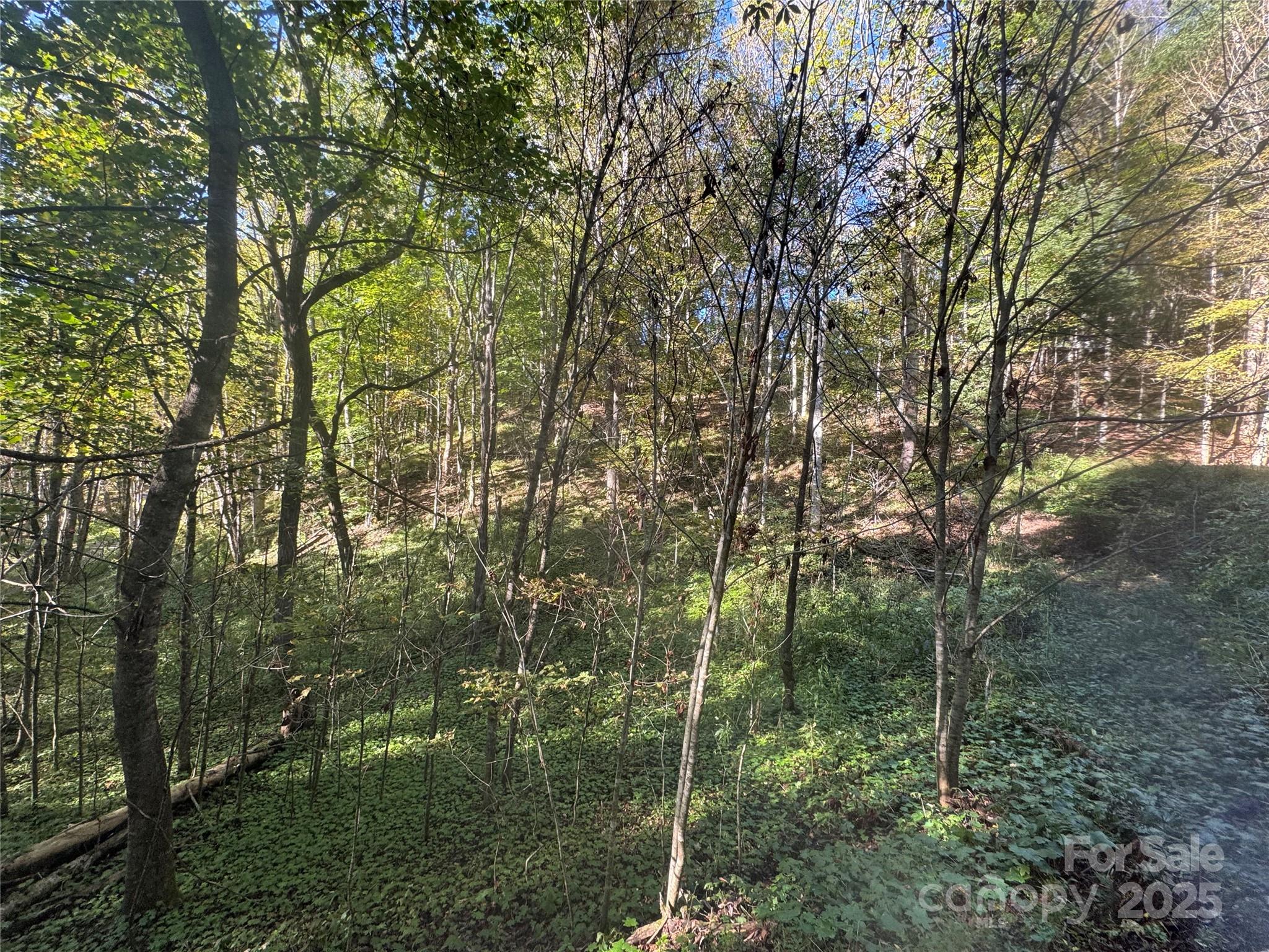 Trillium Glen - Land