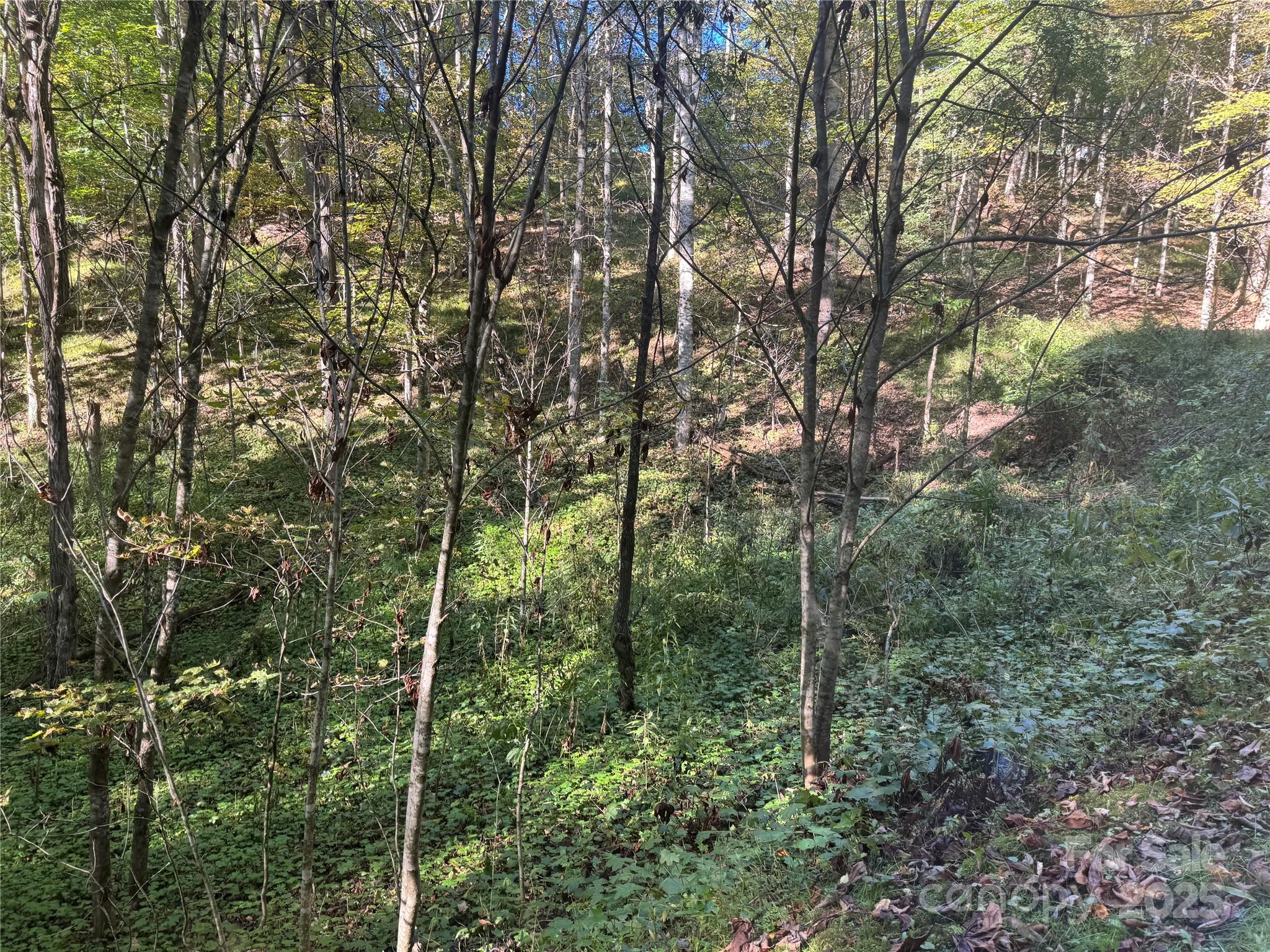 Trillium Glen - Land