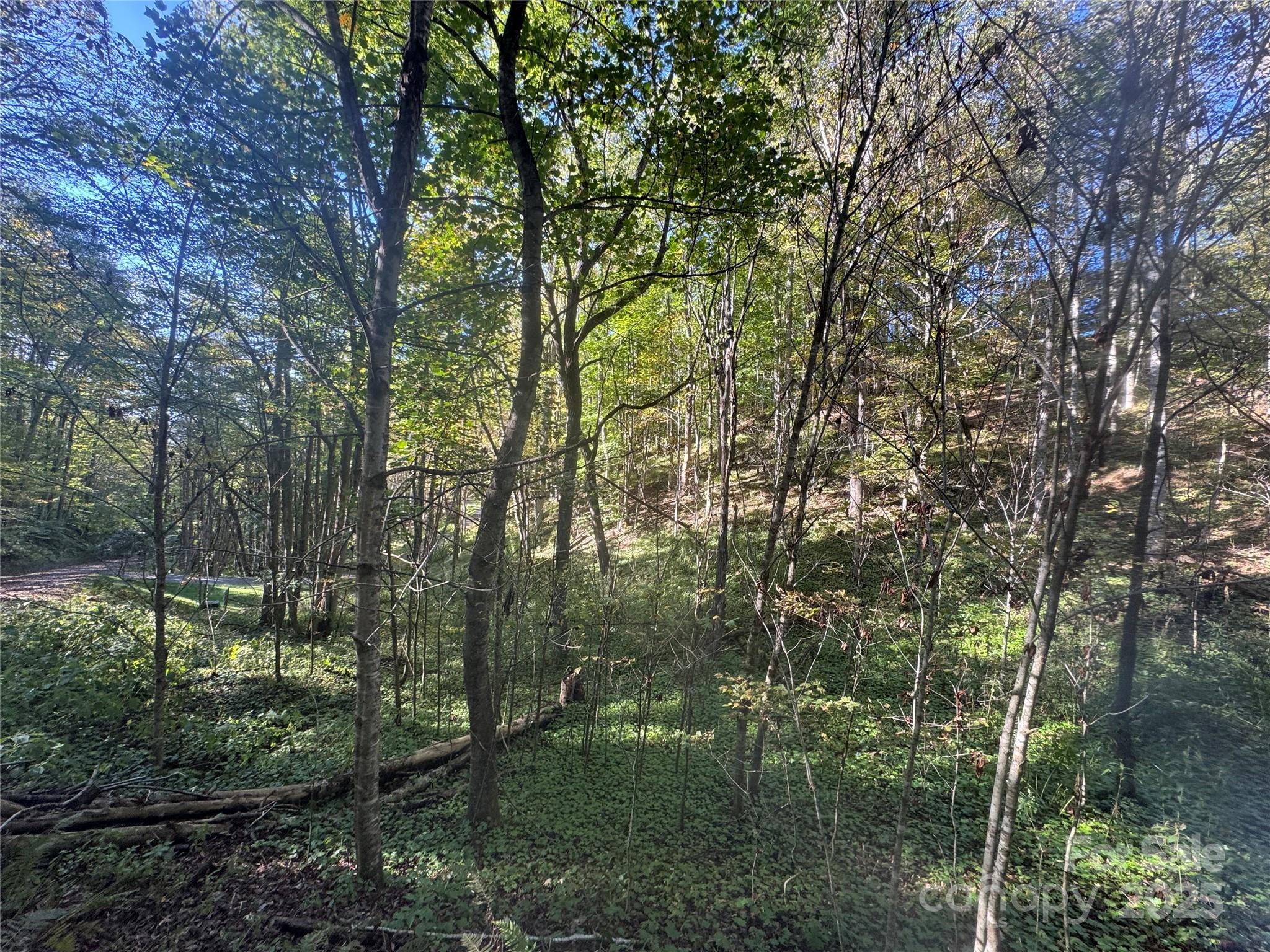 Trillium Glen - Land