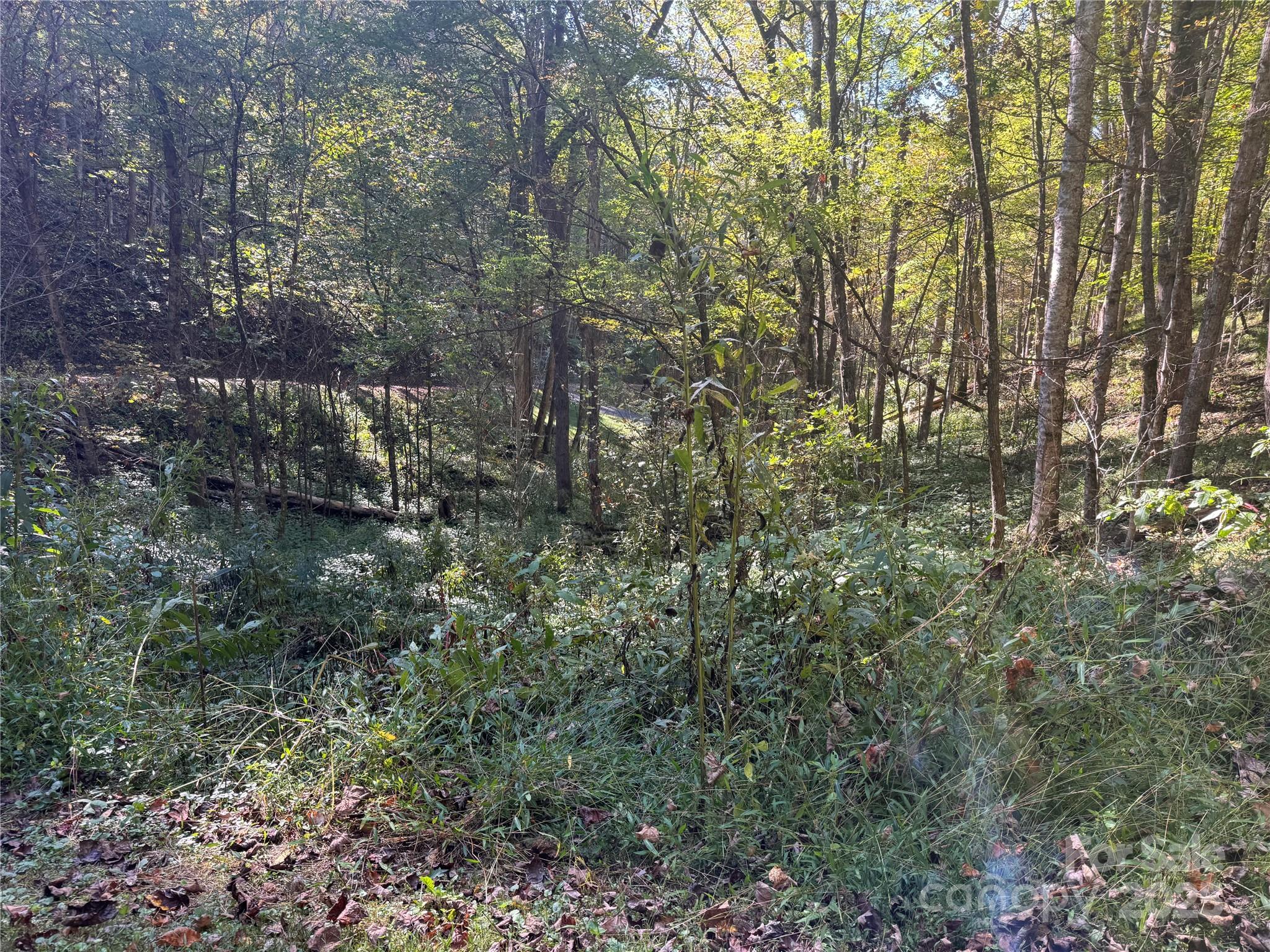 Trillium Glen - Land