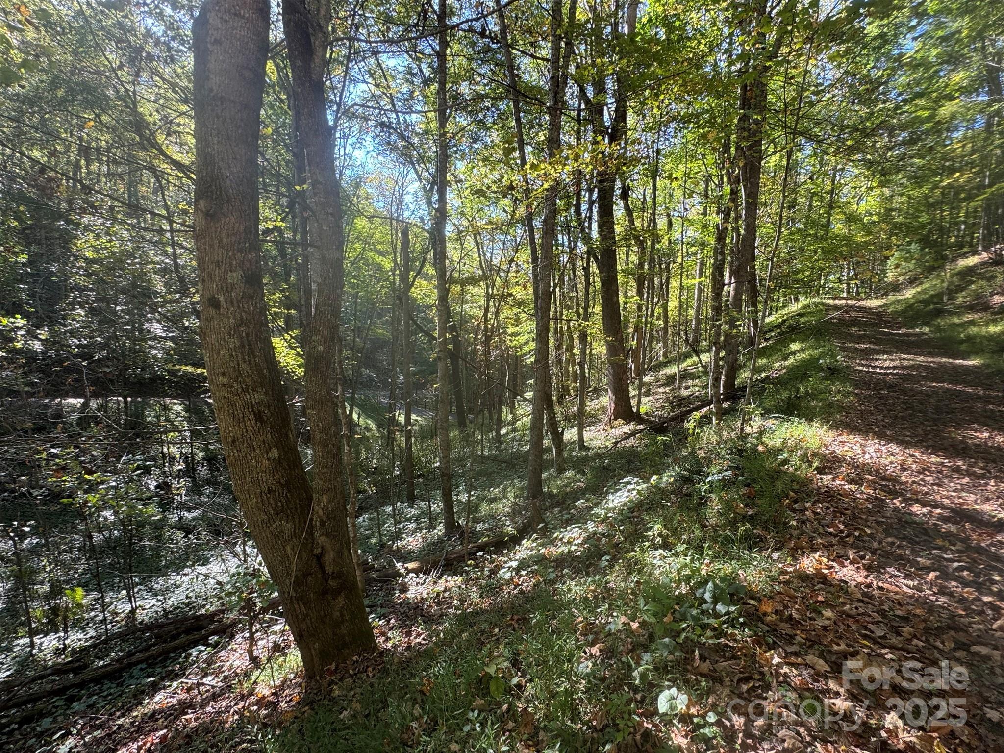 Trillium Glen - Land