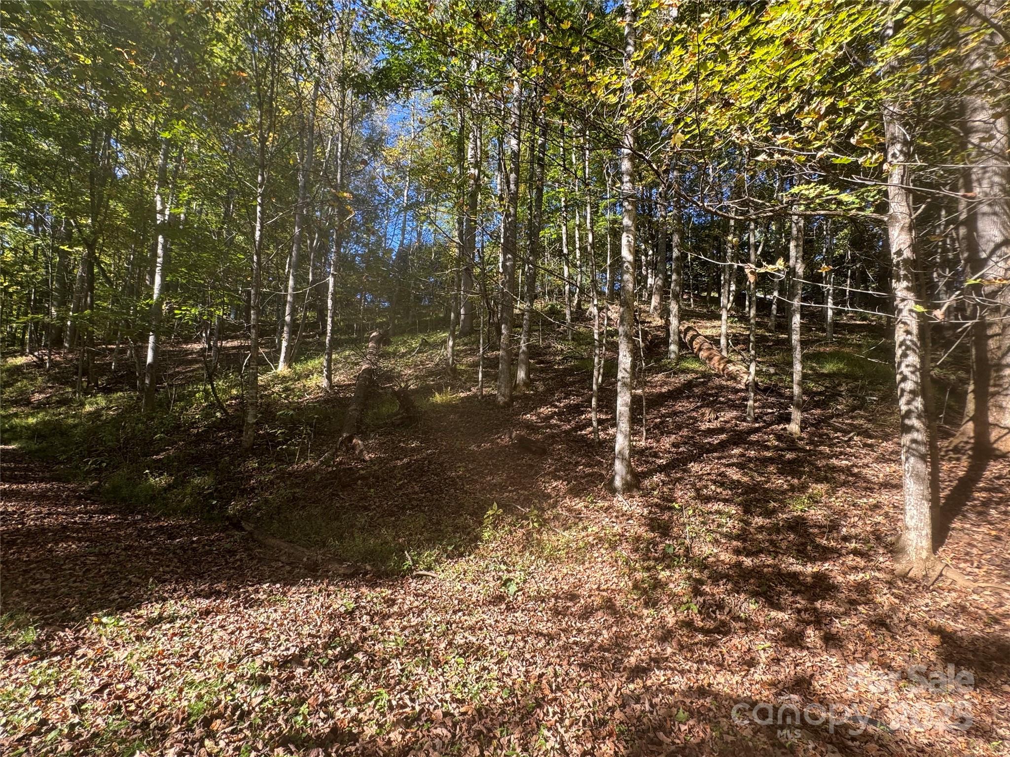 ALL OFFERS CONSIDERED!!! Roughed in driveway, super private and quiet.  Restricted subdivision with good access to I26 corridor and Mars Hill. Underground utilities, gravel road. Sweet spot for anyone looking to build in the area. Mostly full-time residents in area. Close to newly renovated Hatley Pointe Ski Resort, Wolf Laurel Country Club and Golf Course.