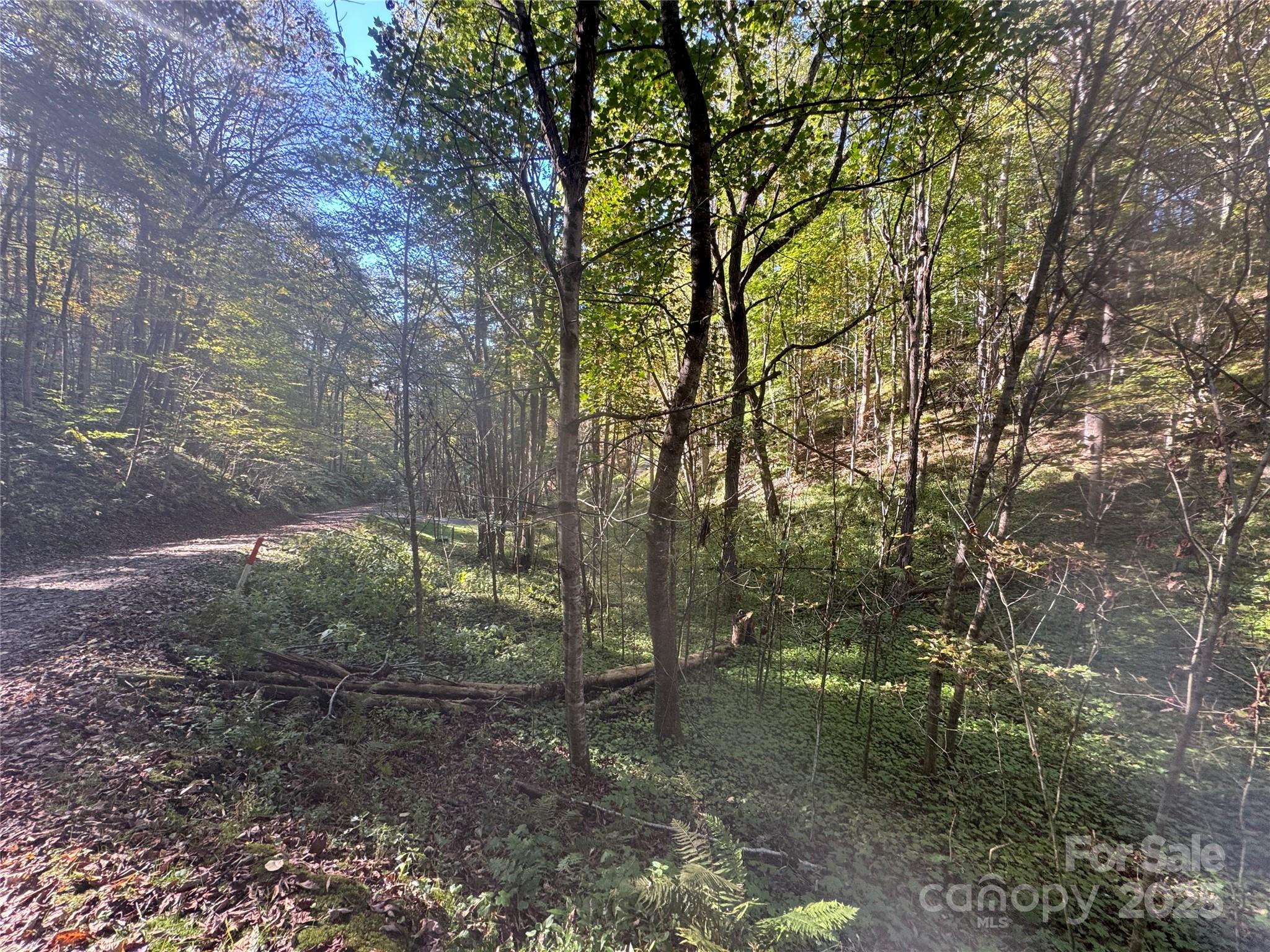 Trillium Glen - Land