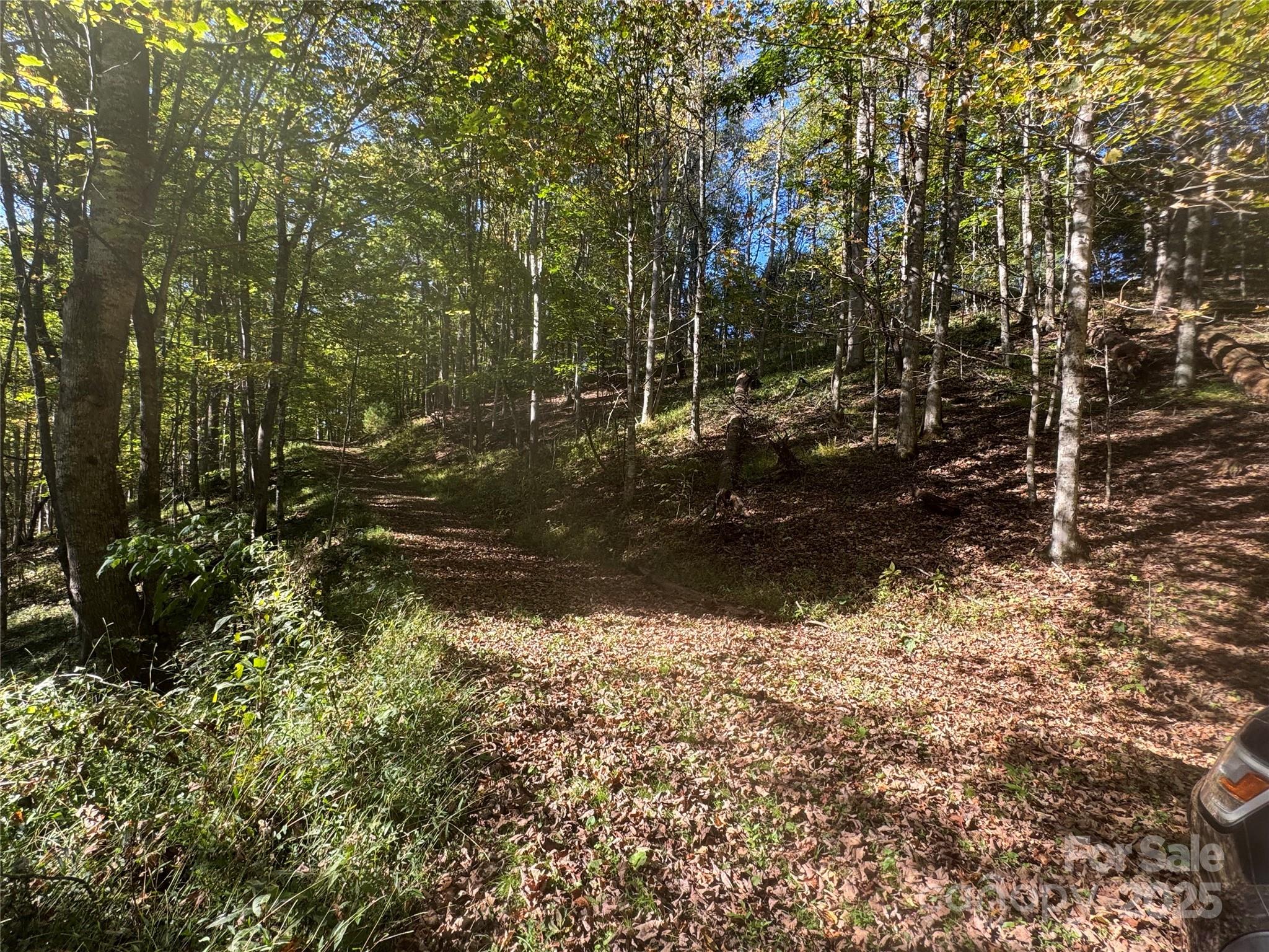 Trillium Glen - Land