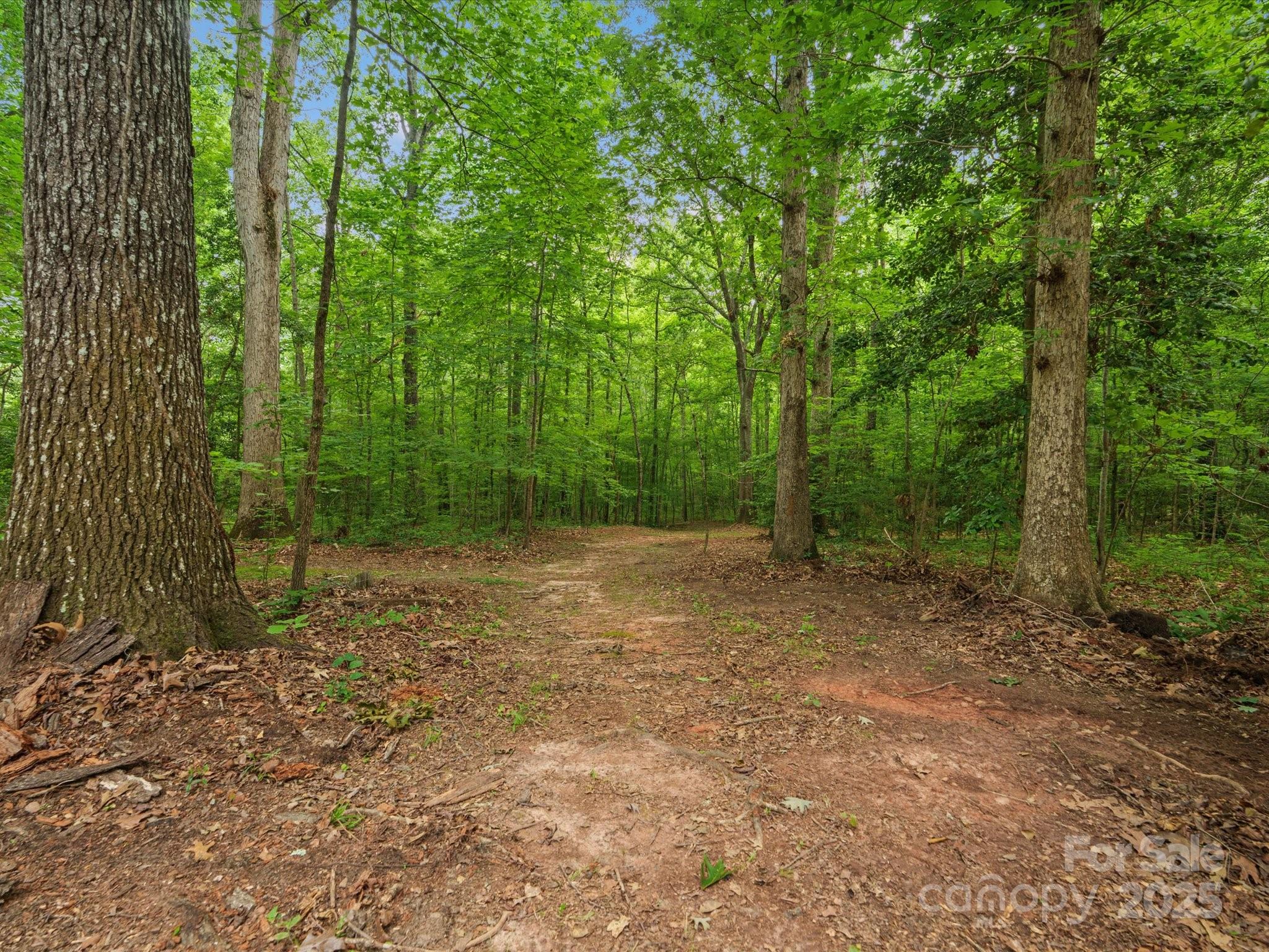 Beaver Dam Farm - Residential