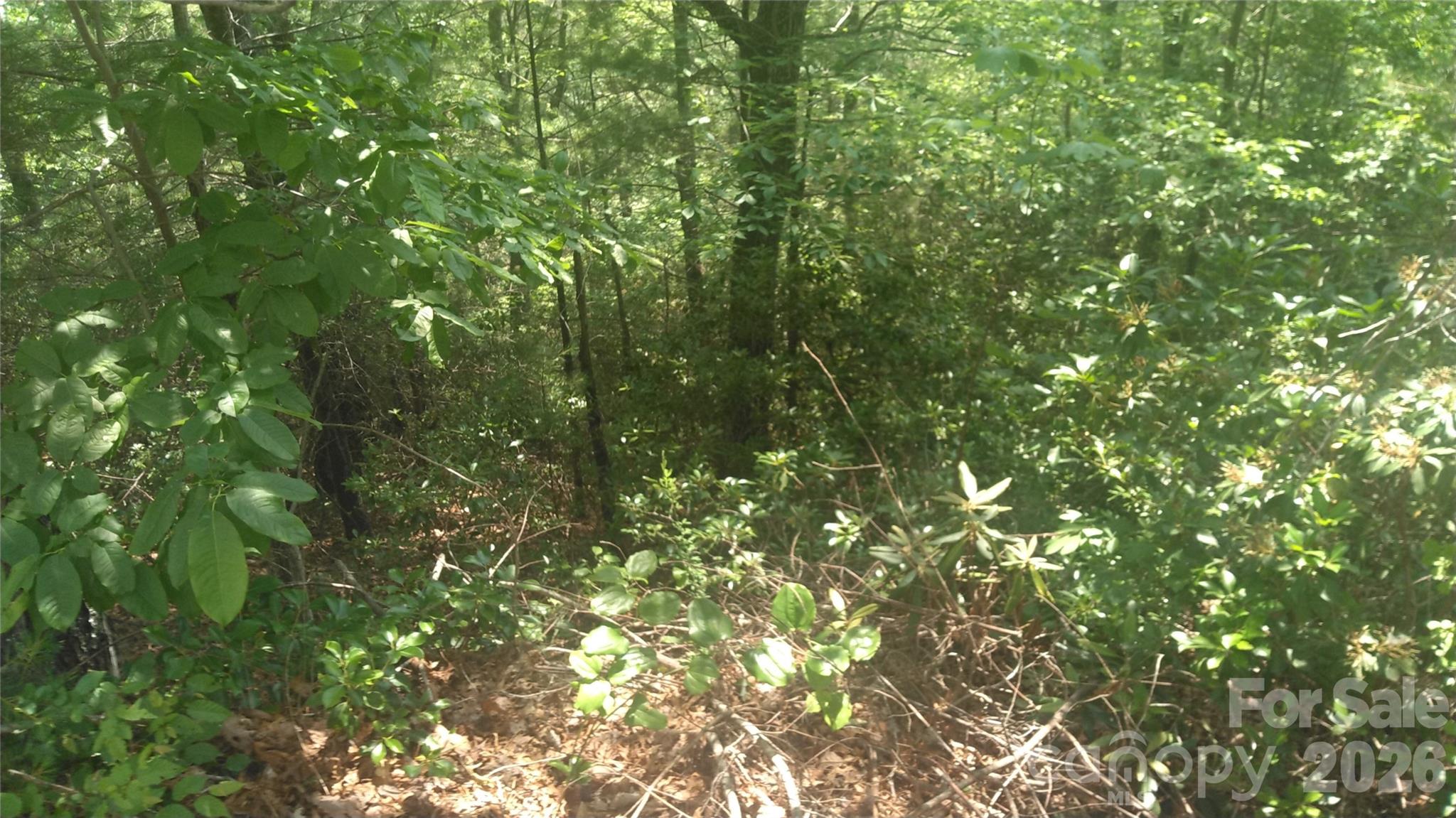 Deerwood - Land
