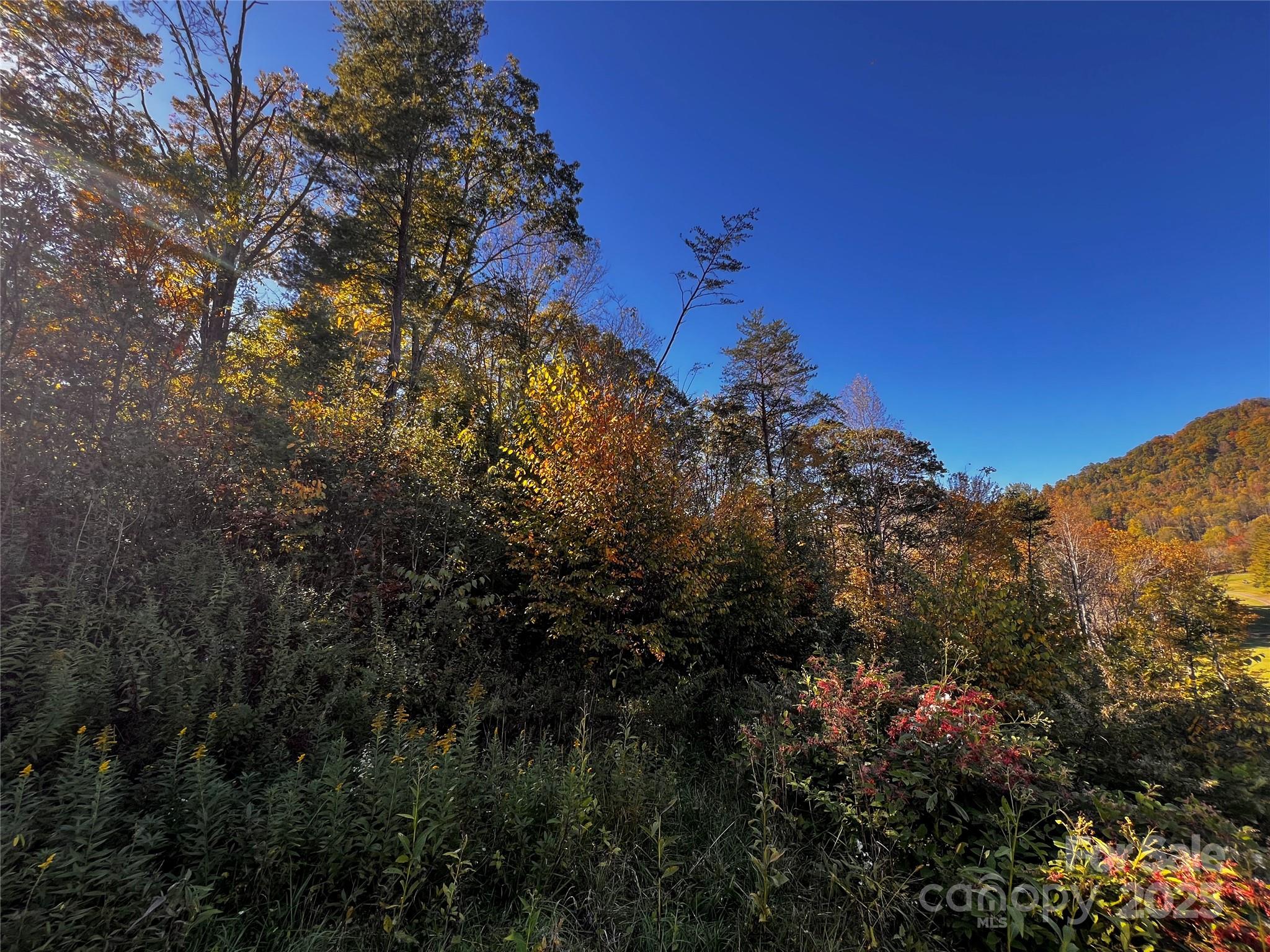 Springdale Estates - Land