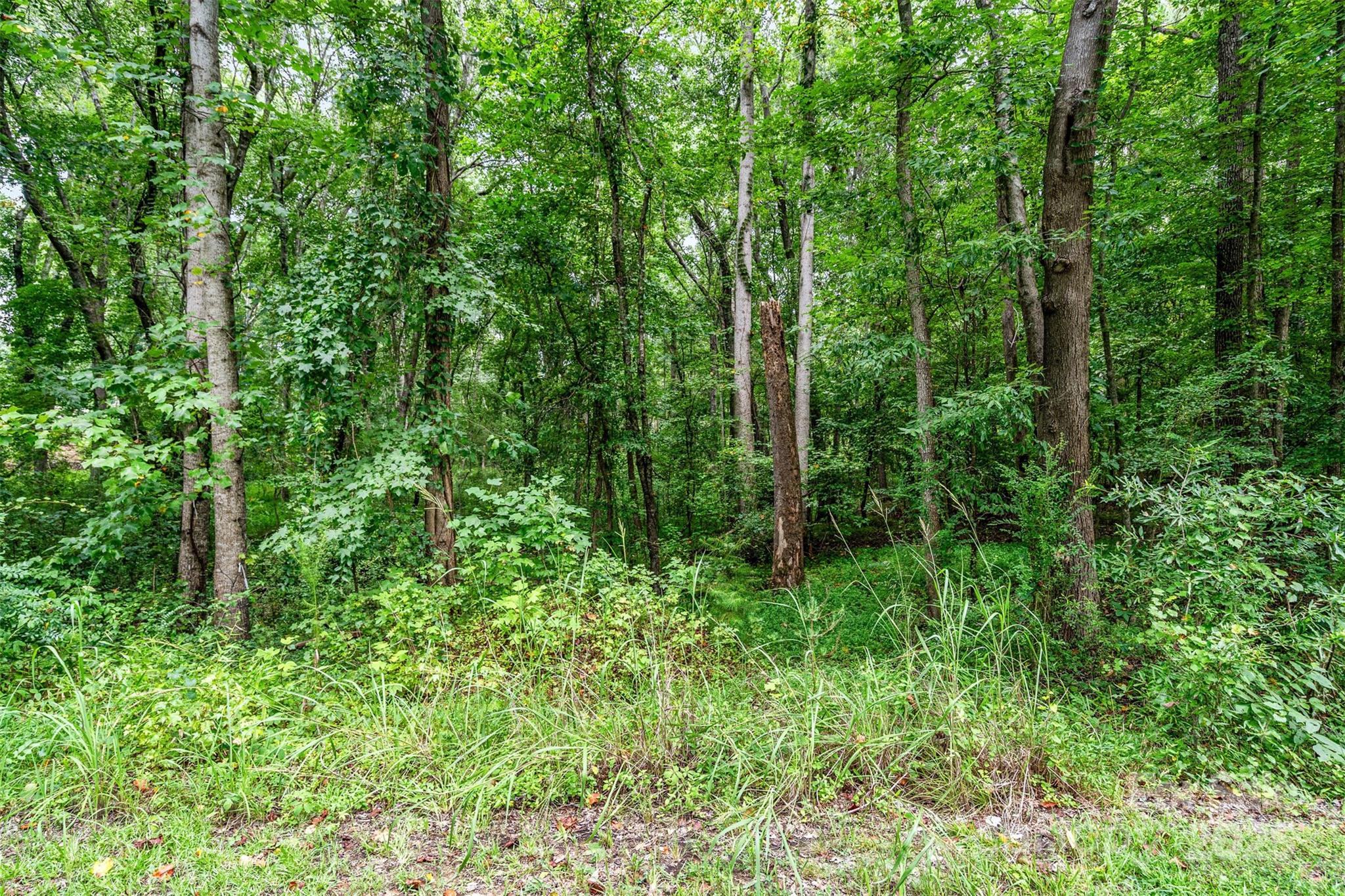 Briarwood - Land
