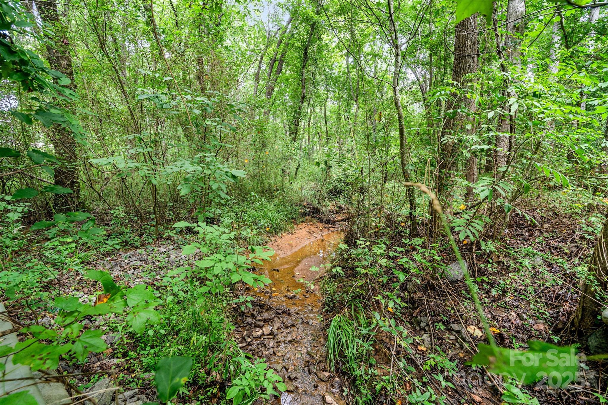 Briarwood - Land