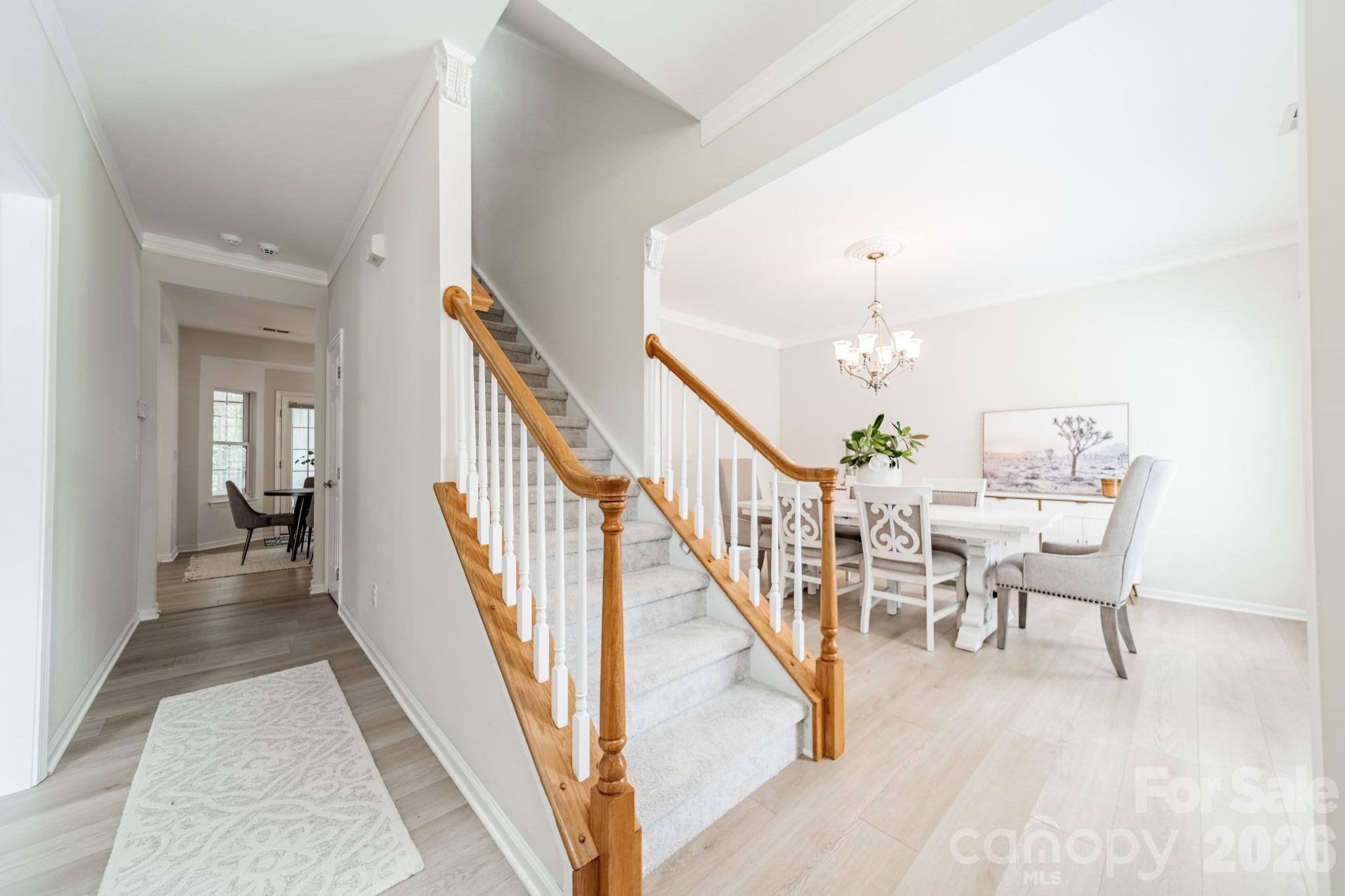 Cardinal Woods - Residential