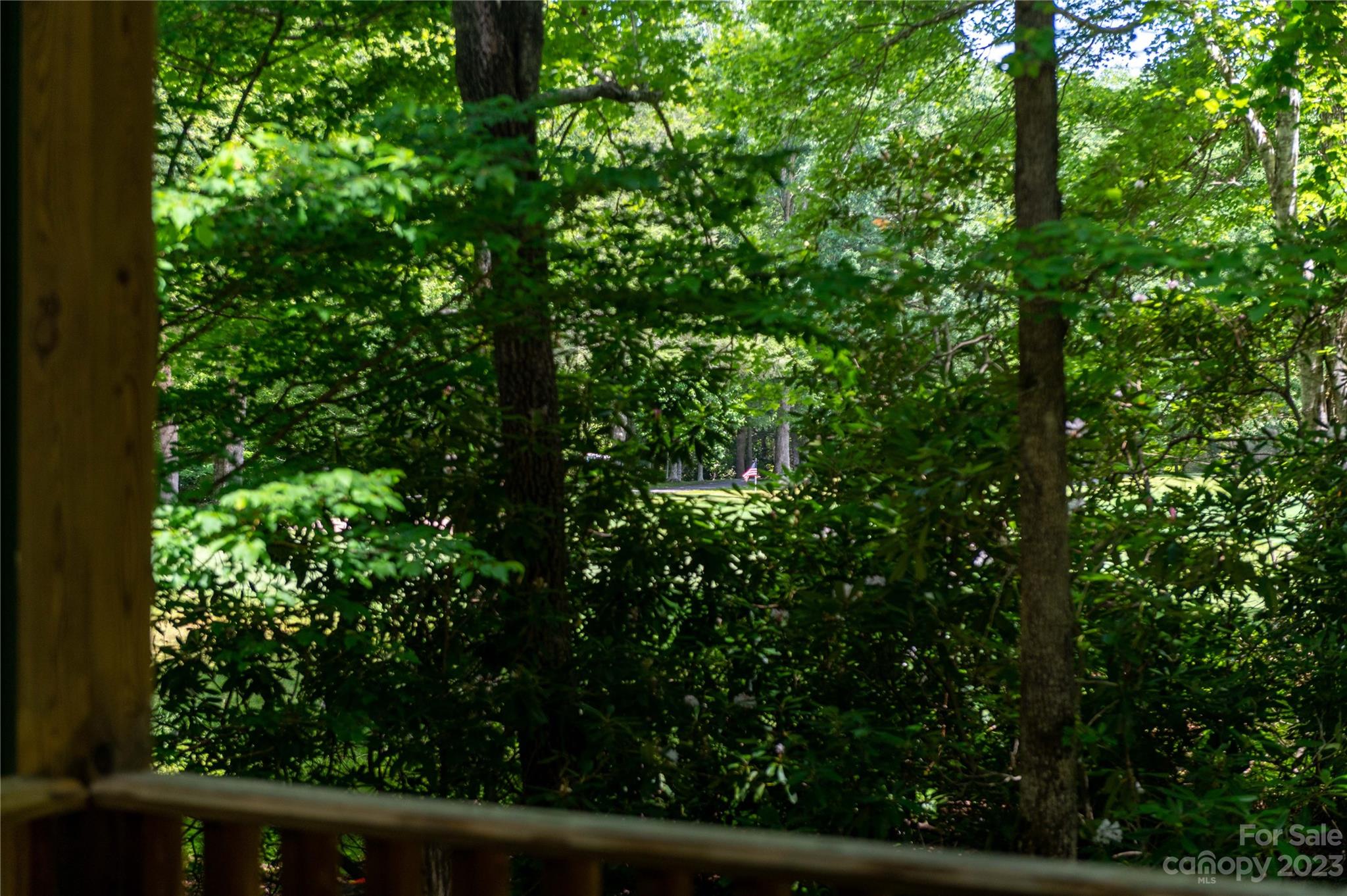 Mount Mitchell Lands - Residential