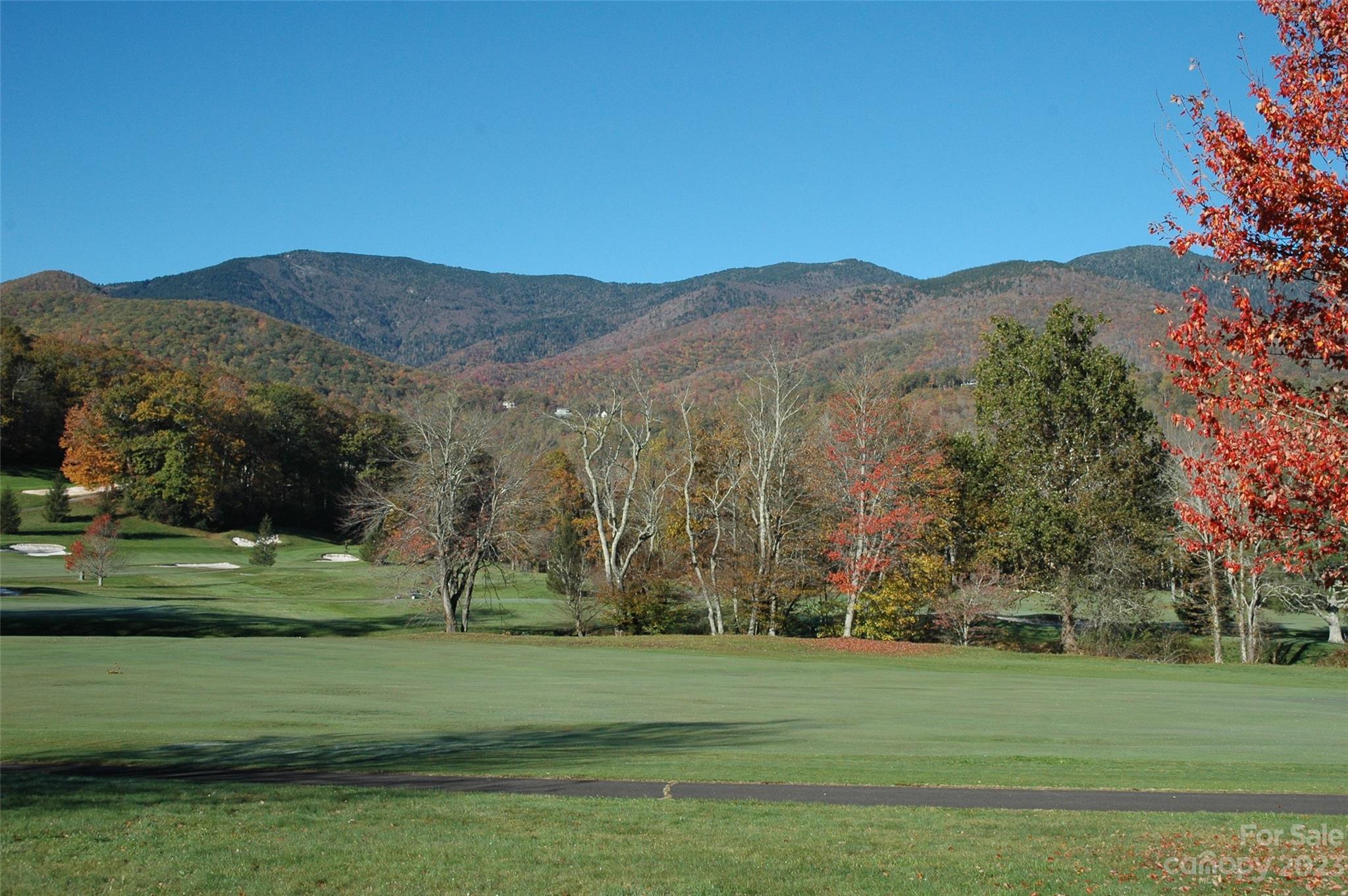 Mount Mitchell Lands - Residential