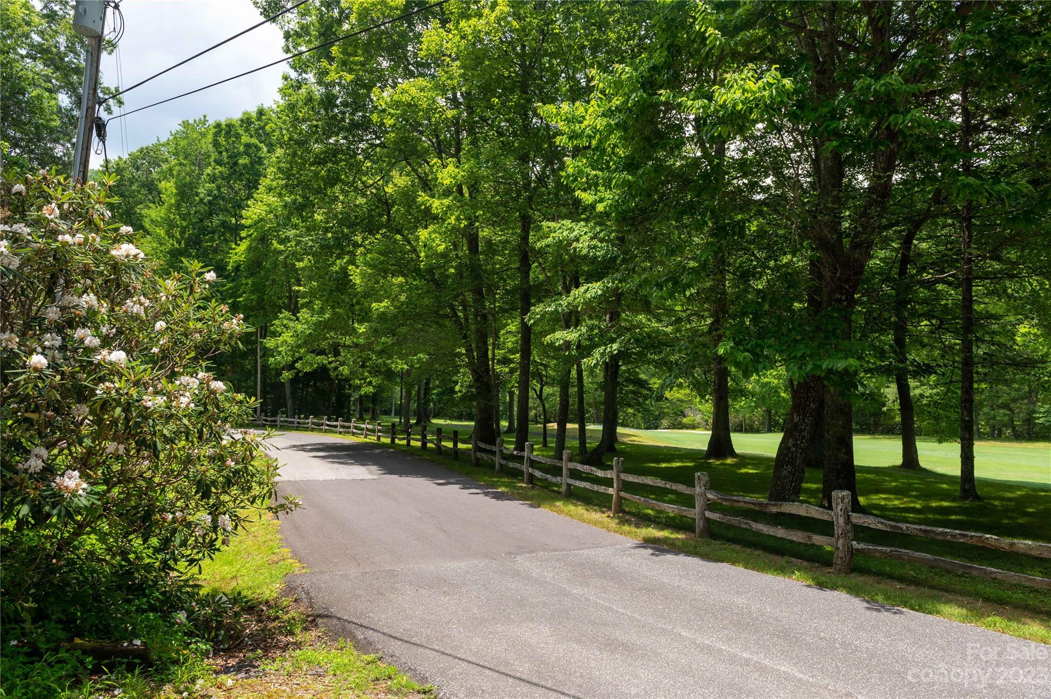 Mount Mitchell Lands - Residential