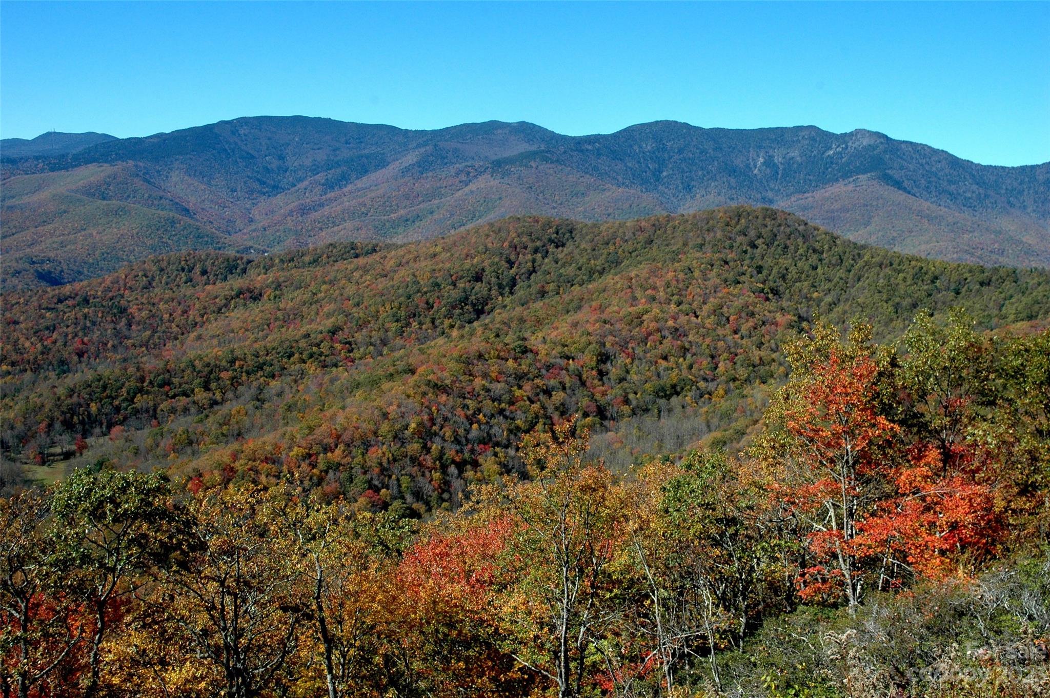 Mount Mitchell Lands - Residential