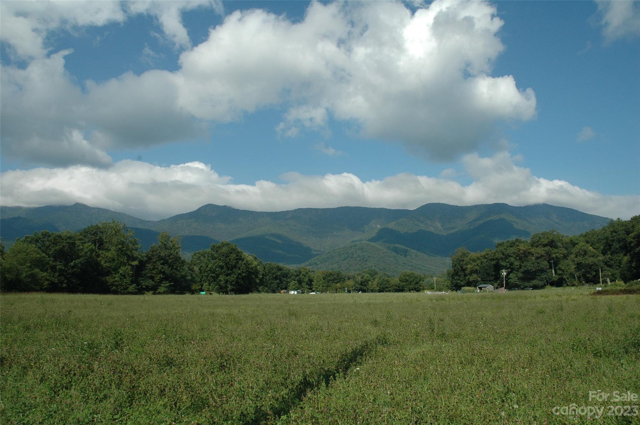 Mount Mitchell Lands - Residential
