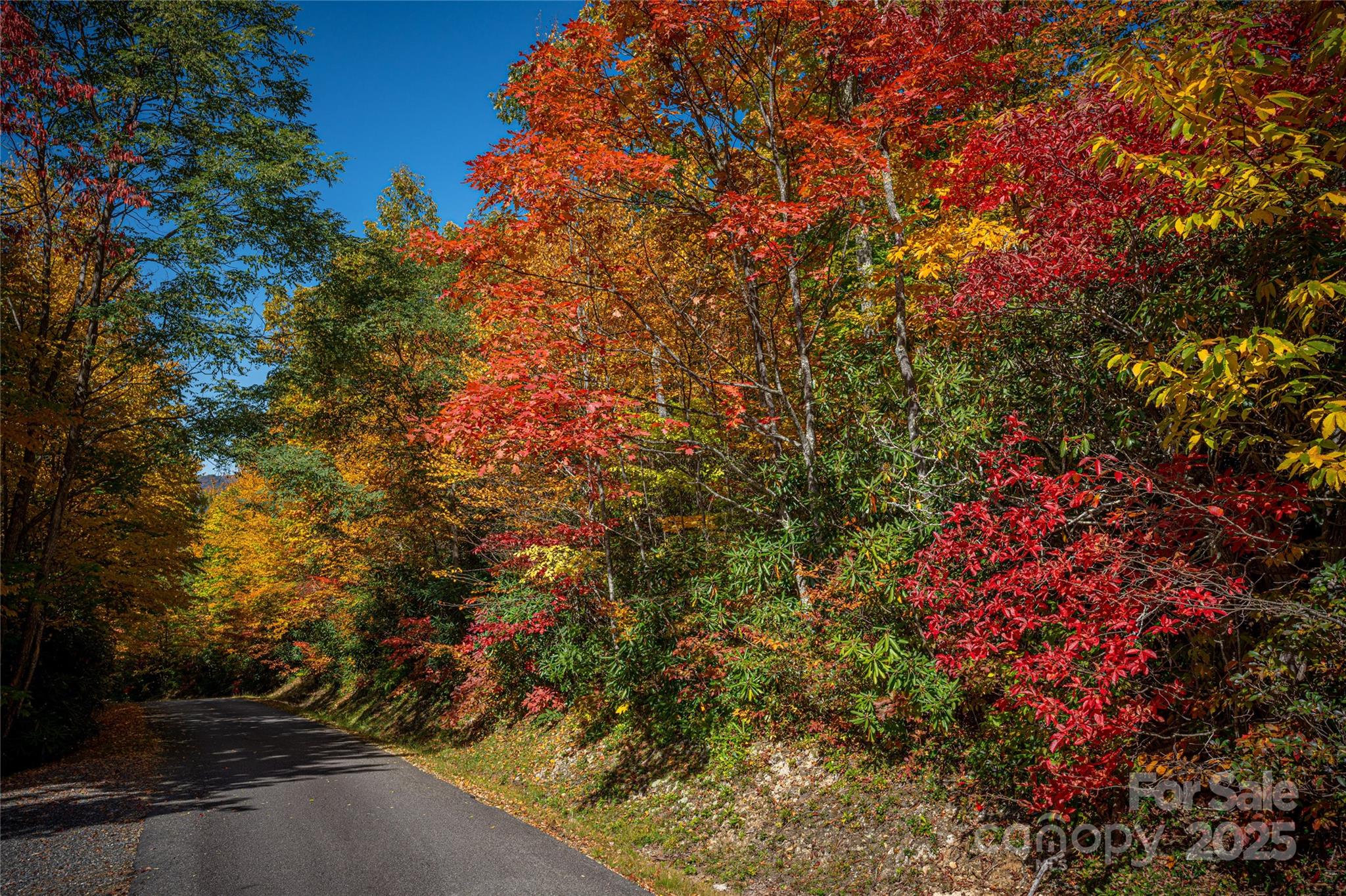 Upper Woodlands - Land