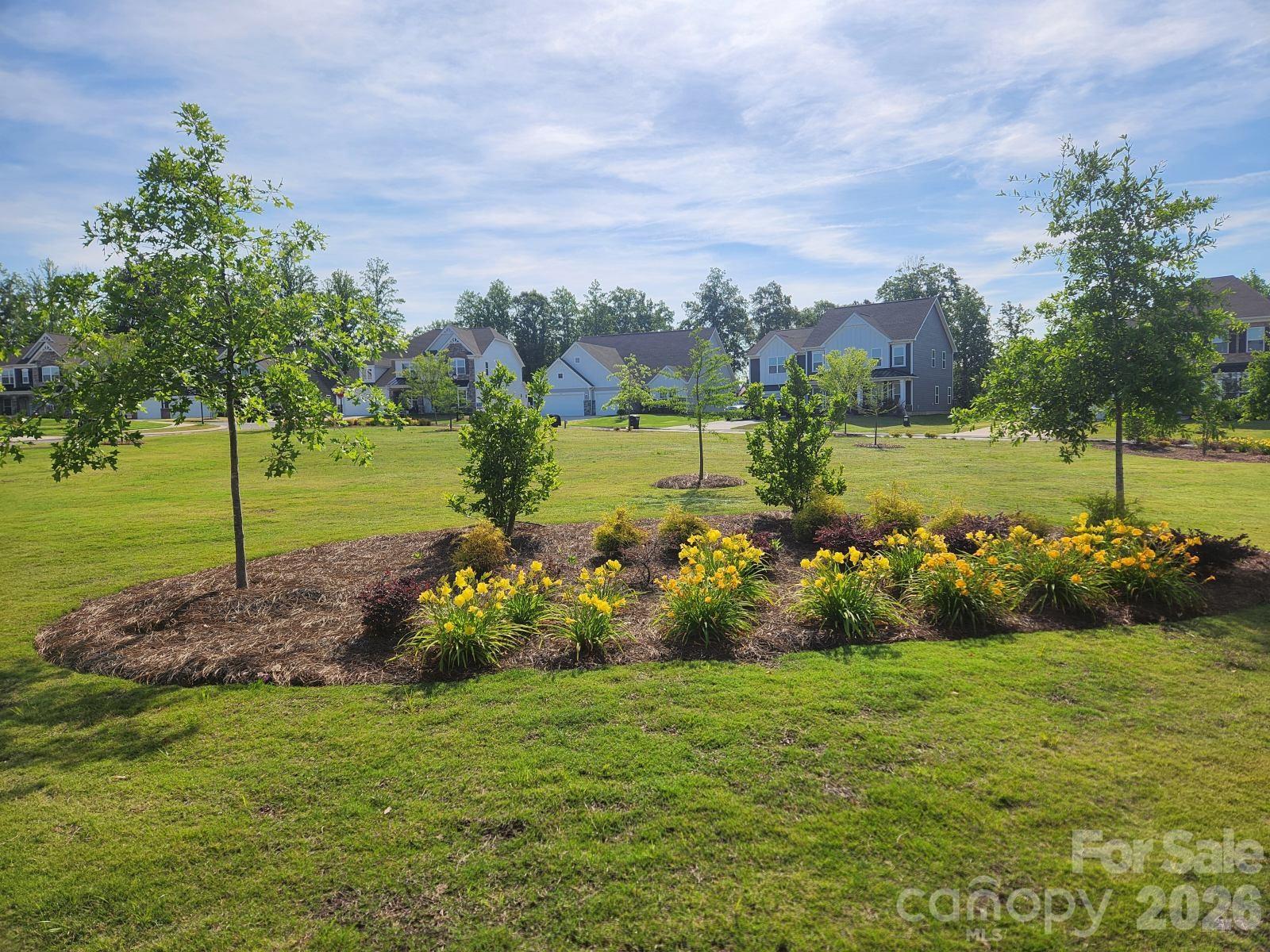 Harris Mill - Residential