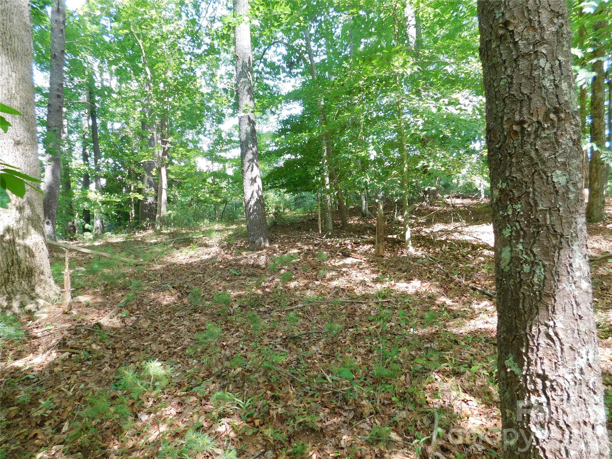 Lake Rhodhiss Estates - Land