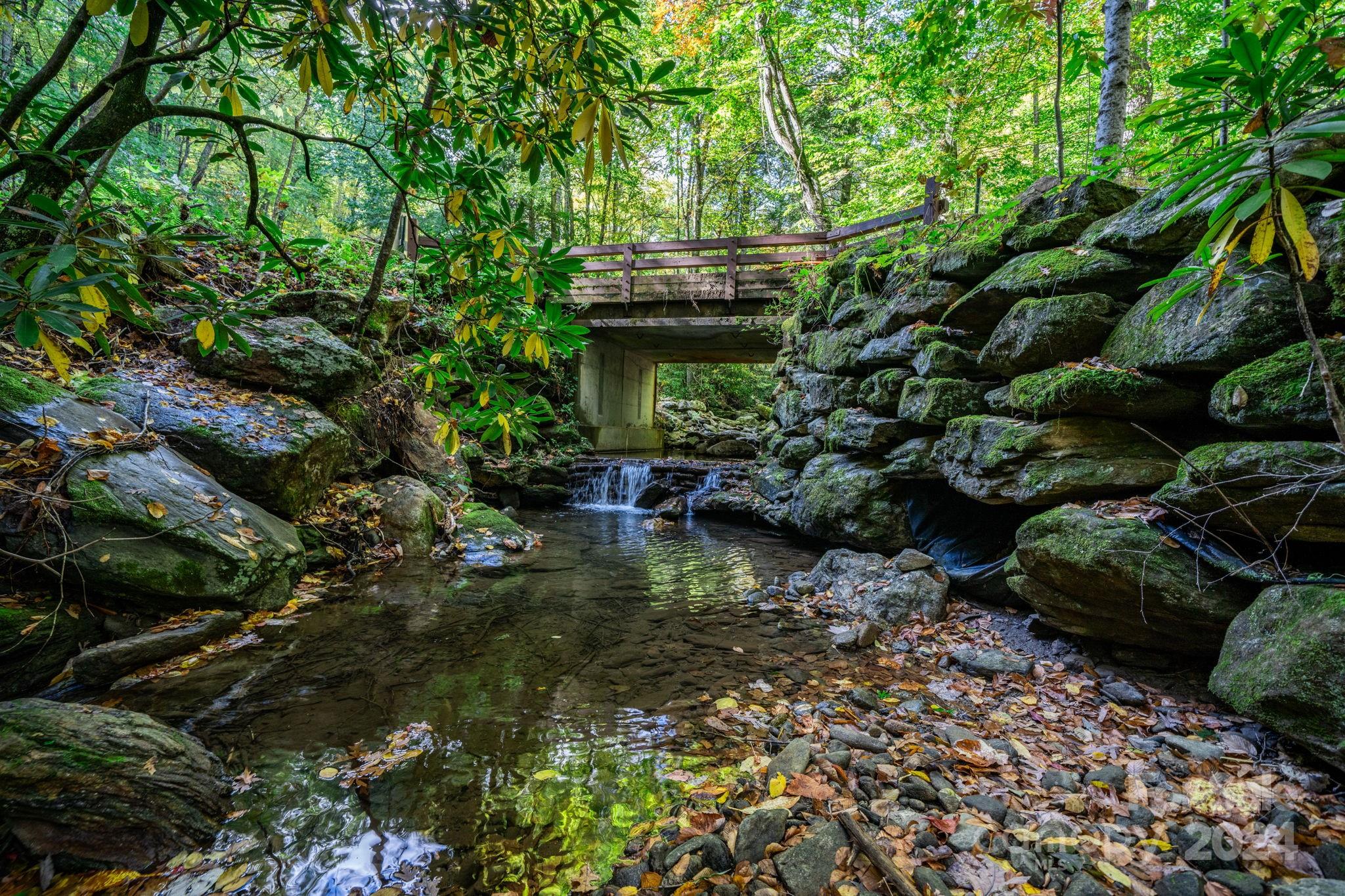 Laurel Ridge - Land