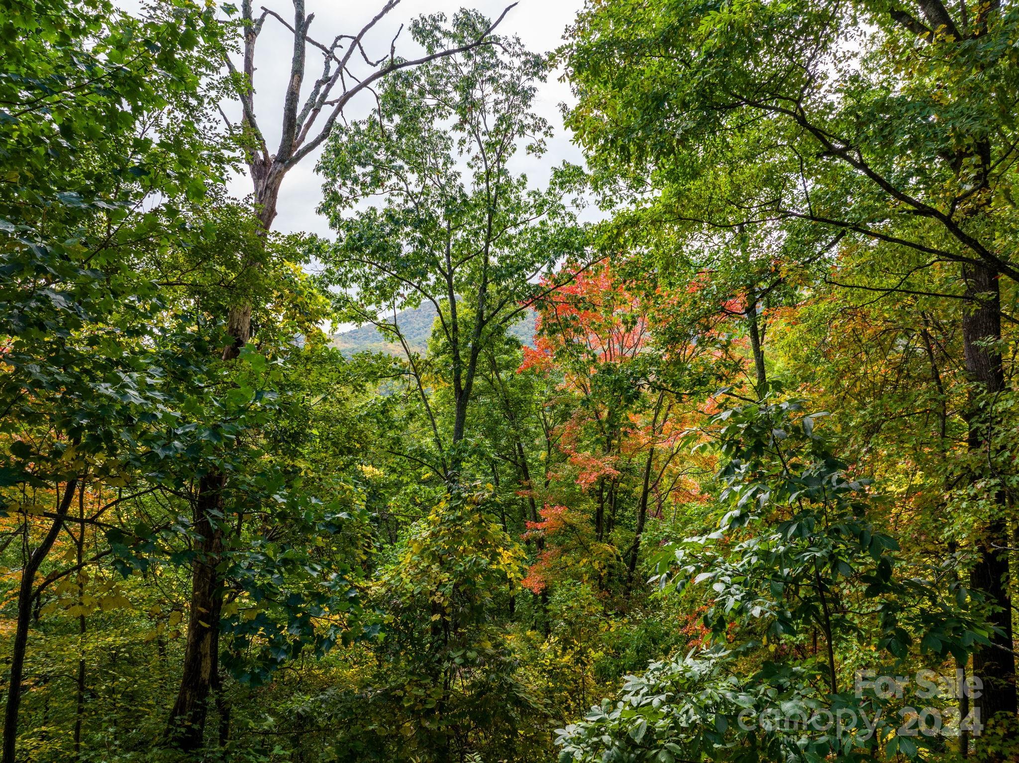 Laurel Ridge - Land