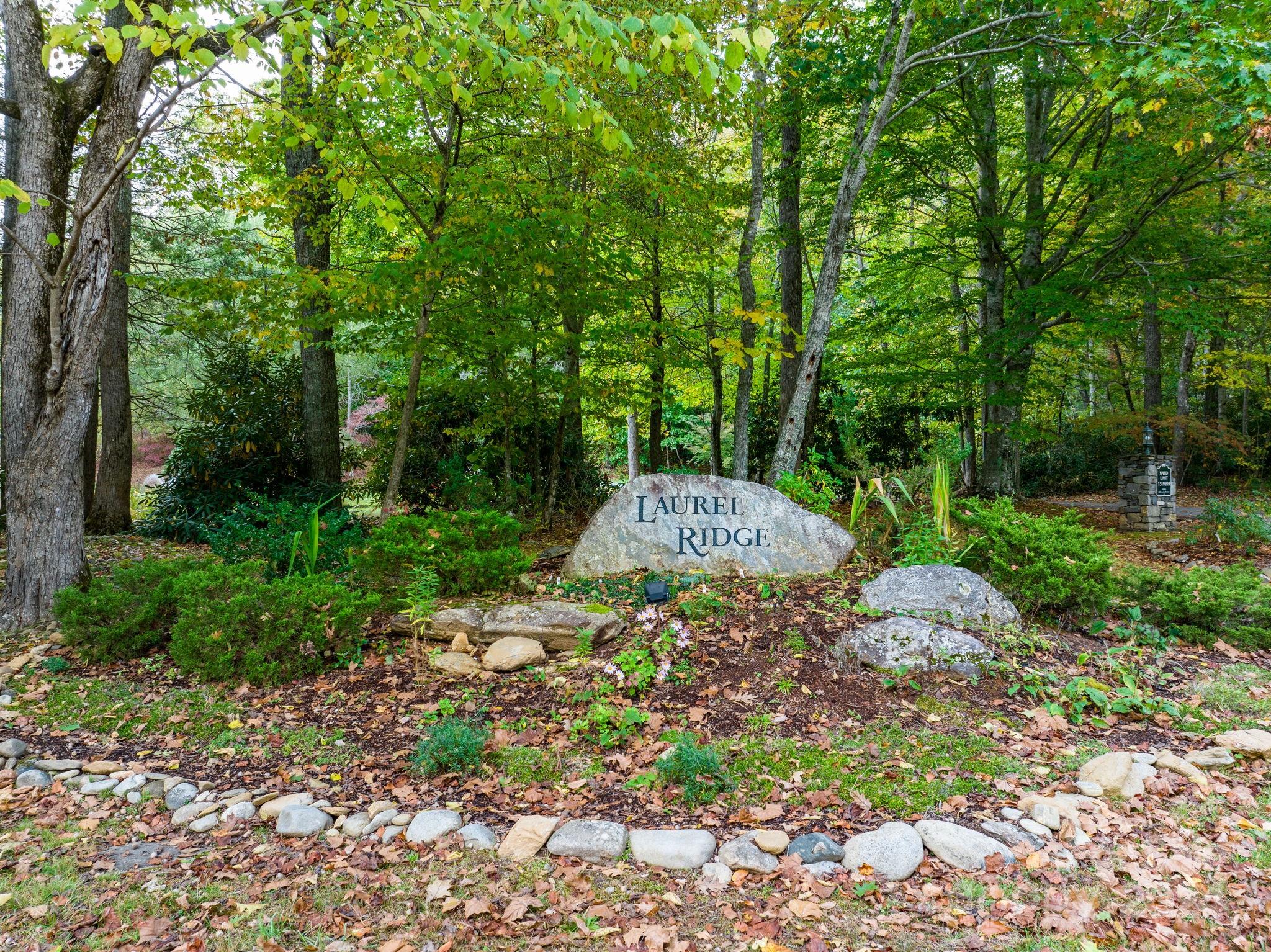 Laurel Ridge - Land