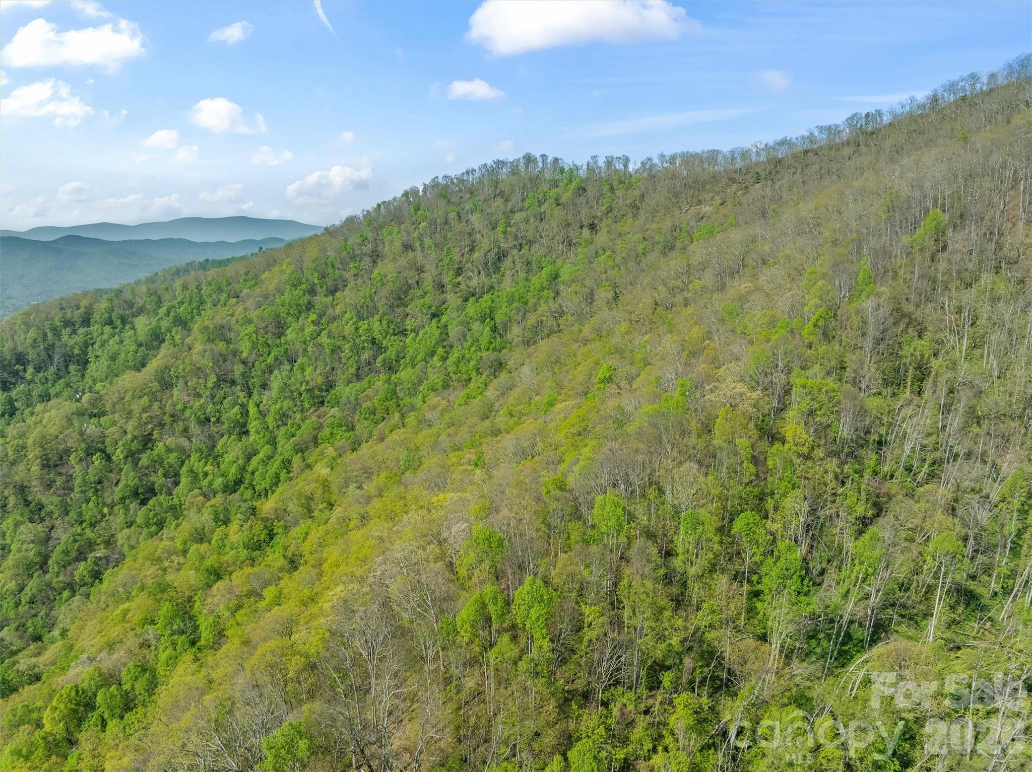 Greenridge Falls - Land