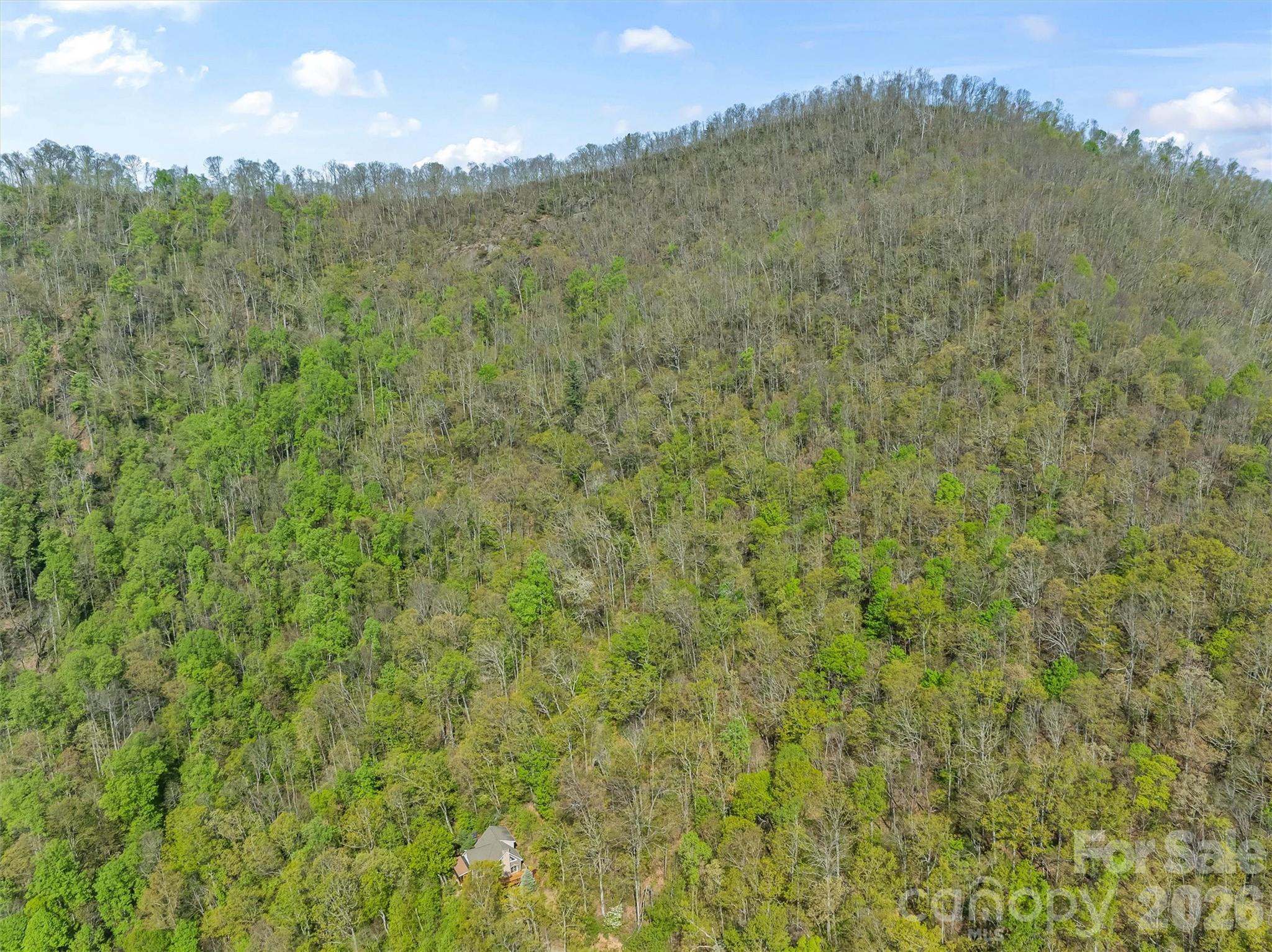Greenridge Falls - Land