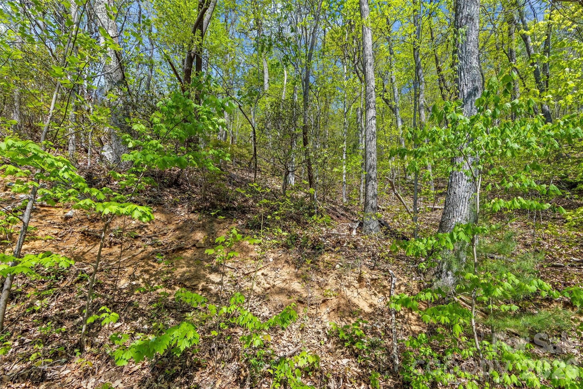 Greenridge Falls - Land