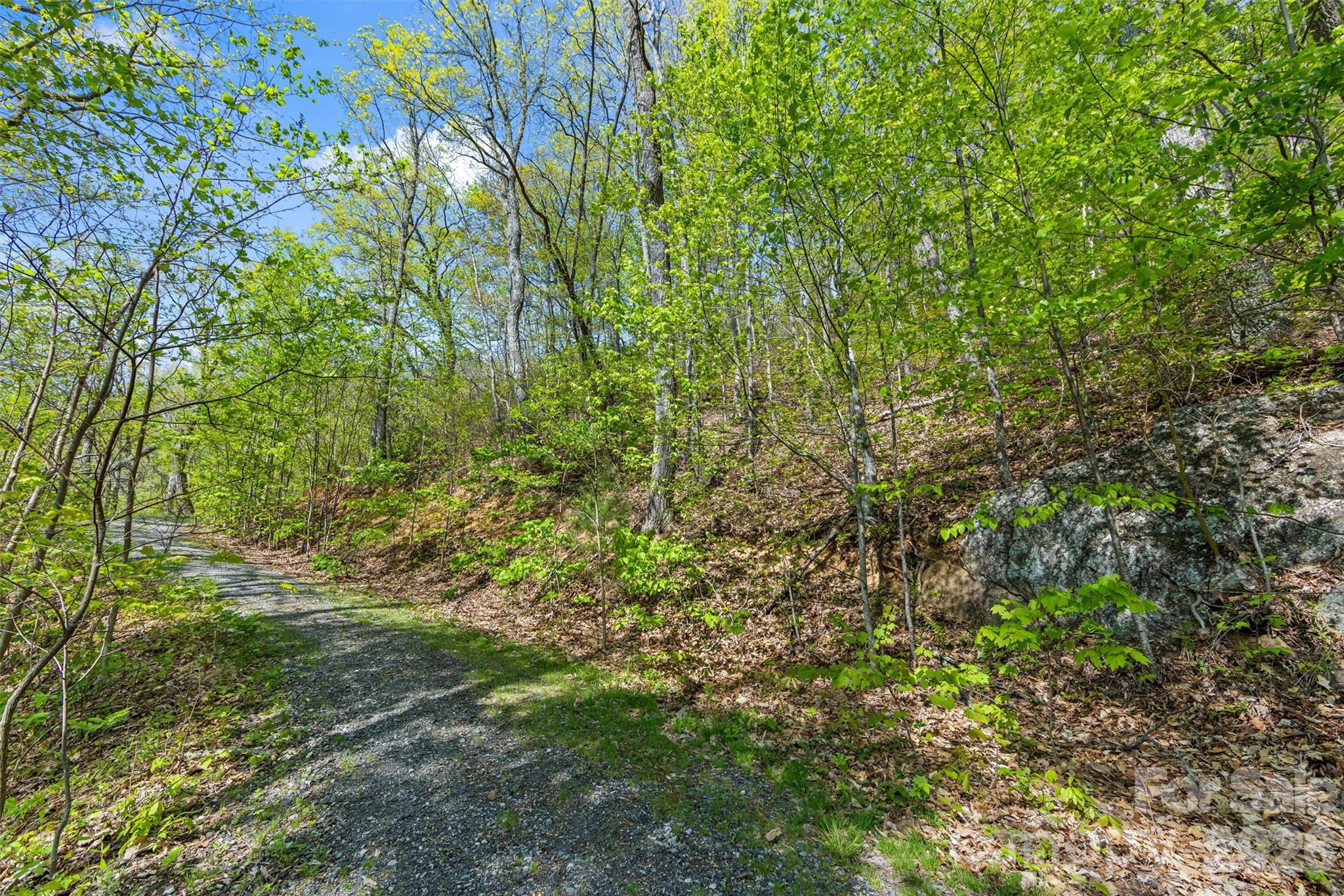 Tucked away in the peaceful mountains of Barnardsville, 21 Reillys Bluff offers 11.89 private acres in a lovely community setting. Enjoy the beauty of the mountains, and build your own private retreat. For buyers seeking more room to explore, the adjoining property at 31 Reillys Bluff is also available, offering an additional 12.02 acres extending to the ridgeline. Purchase both and have nearly 24 acres of mountain living!