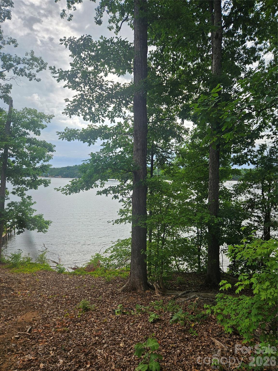 A rare opportunity to secure one of the last remaining waterfront homesites in Edgewater, one of Lake Tillery's most sought-after gated communities.

Perfectly positioned along the main channel, this exceptional lot captures sweeping views of sparkling blue water with the Uwharrie Mountains rising in the distance. Mature trees provide a beautiful natural setting, while the property's gentle slope creates an ideal opportunity for a custom home with a walkout basement designed to maximize the breathtaking lake views.

With approximately 118.5 feet of shoreline, this homesite offers the perfect canvas to create the lakefront retreat you've always imagined. Whether your vision includes expansive outdoor living spaces, walls of glass overlooking the water, or a private dock for endless days on the lake, the possibilities are extraordinary.

Beyond the property itself, Edgewater offers an unmatched lifestyle with exceptional amenities including a beautifully appointed clubhouse with a full kitchen for entertaining, resort-style swimming pool, private beach area, picnic pavilion, private boat launch, and convenient boat and trailer storage.

Public water and sewer are available, making the building process even more convenient.

Experience the beauty, tranquility, and lifestyle that only Lake Tillery can provide.