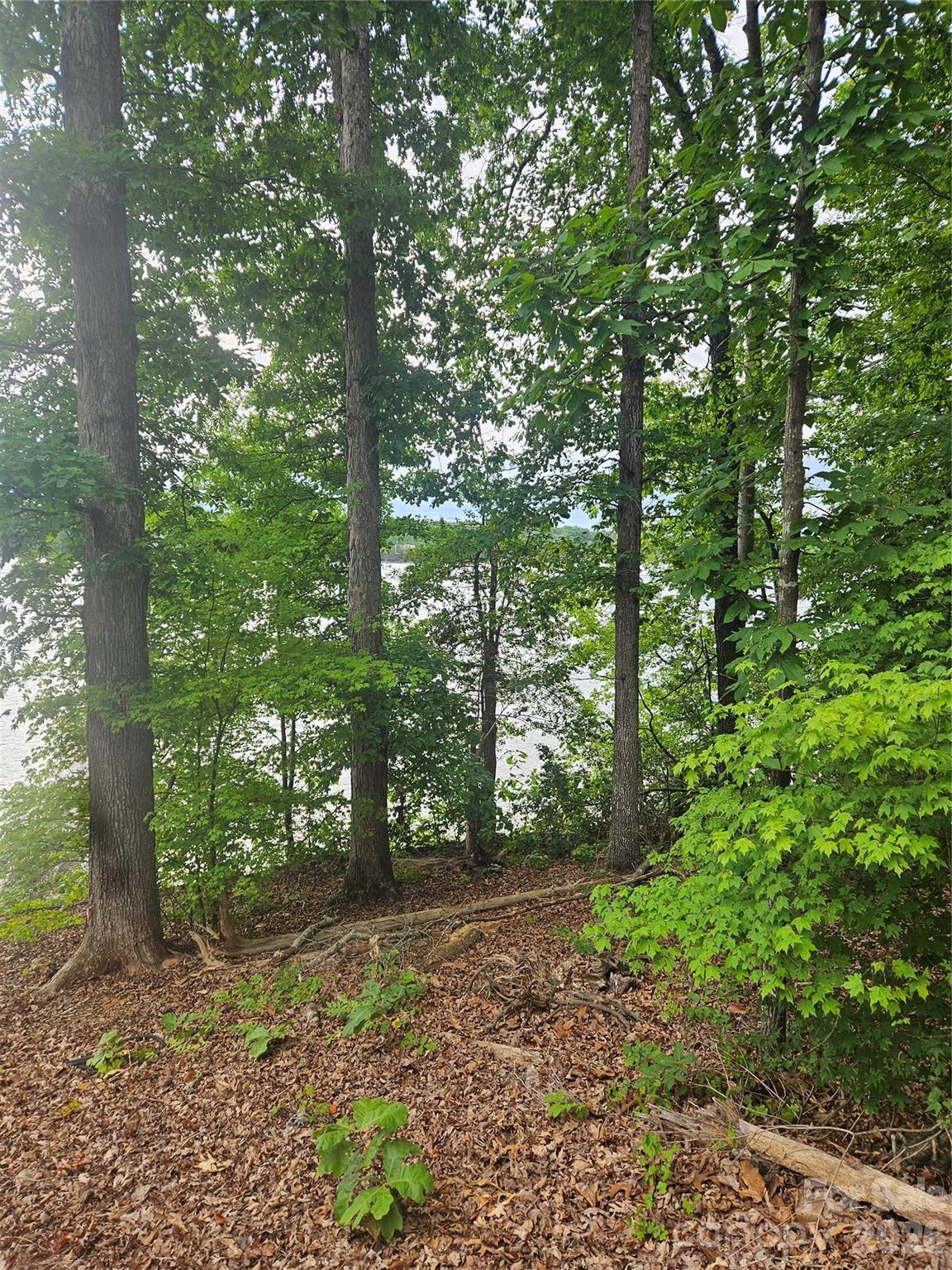 Edgewater - Land
