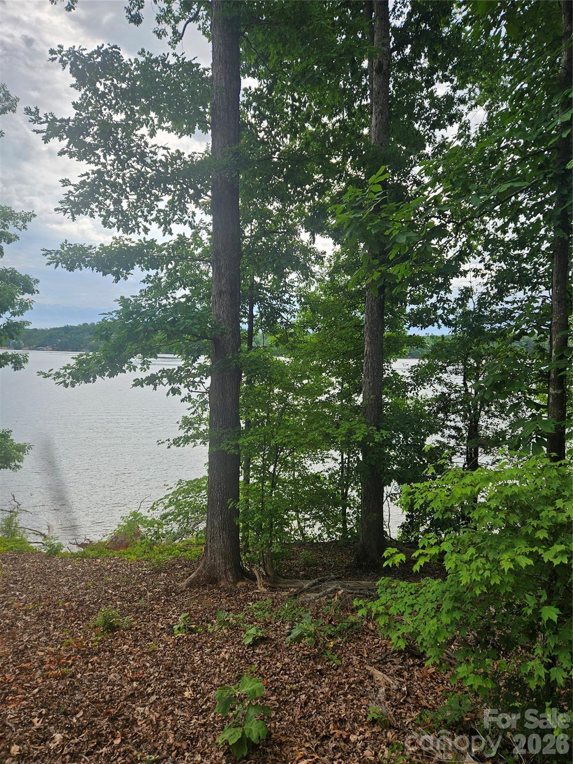 Edgewater - Land