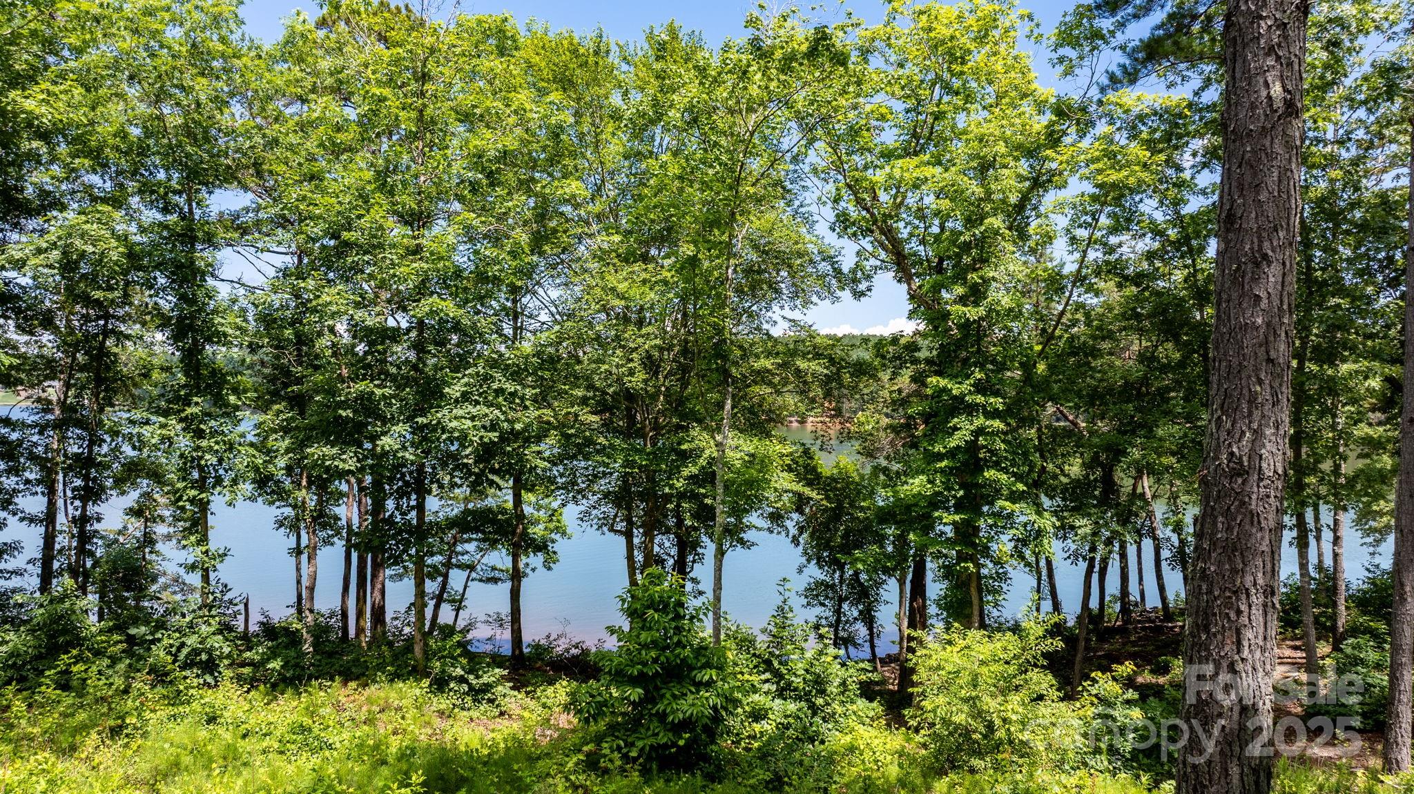 Lakeside Reserve - Land
