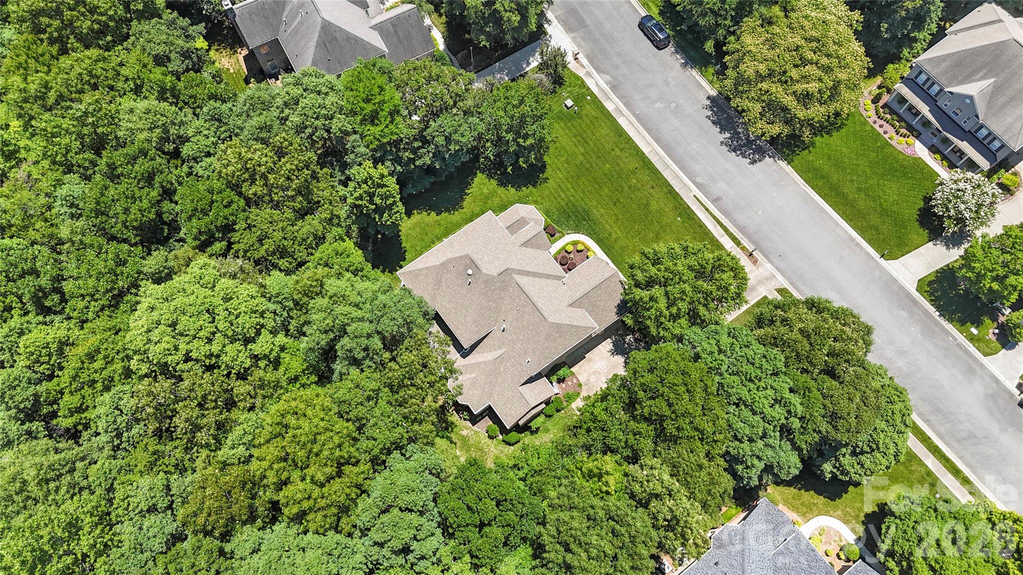 Champion Forest - Residential