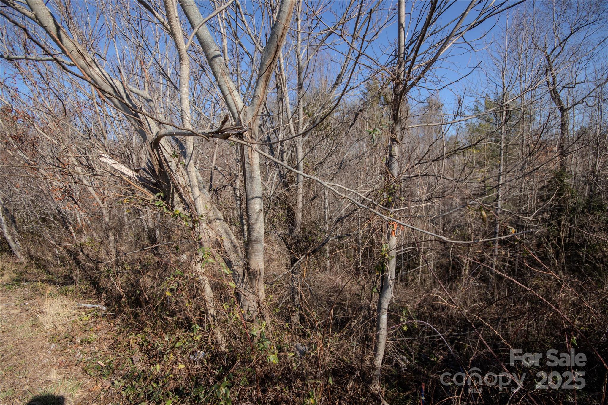 Huntington Woods North - Land